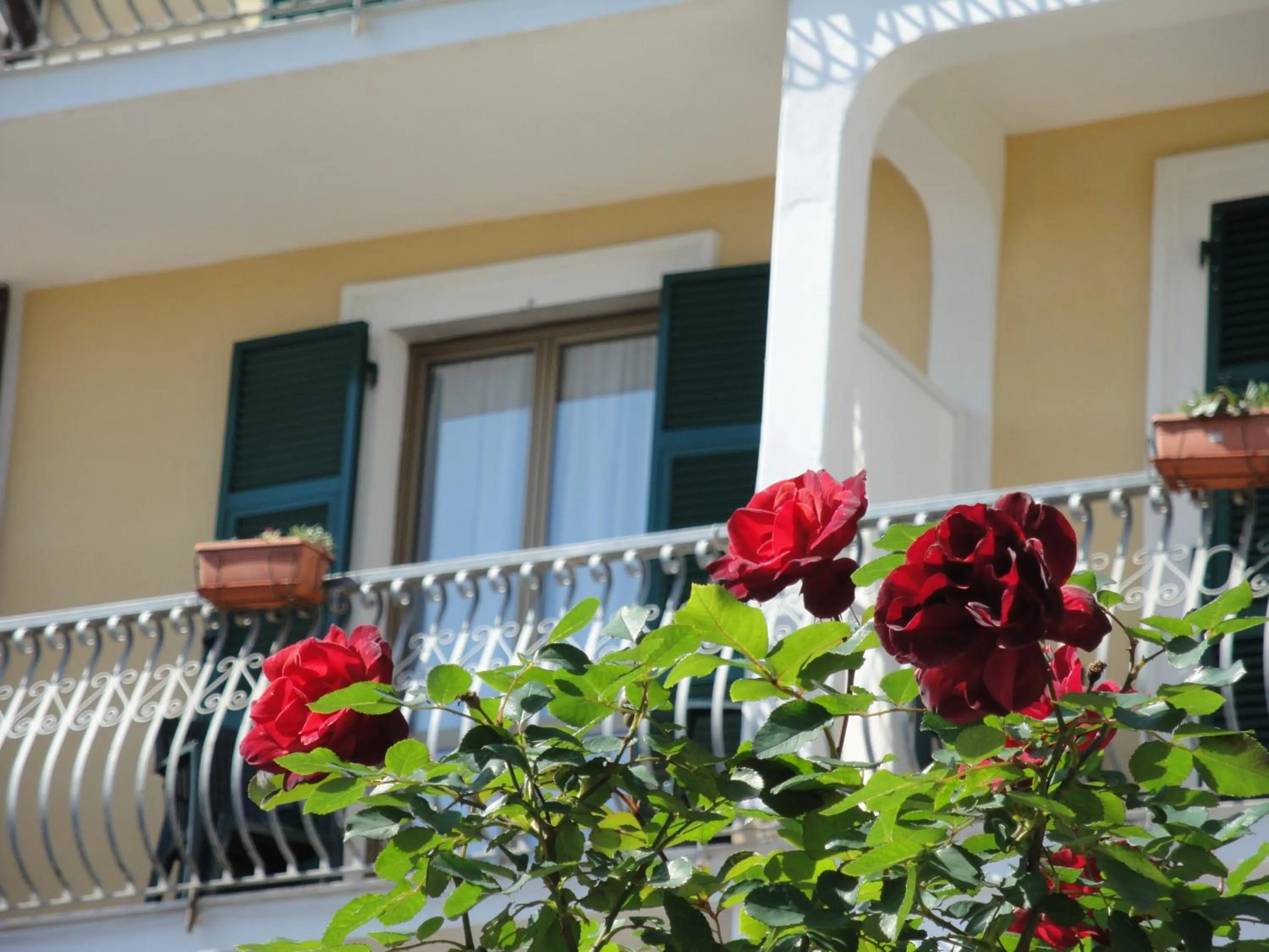 Facade/entrance in Hotel Miranda