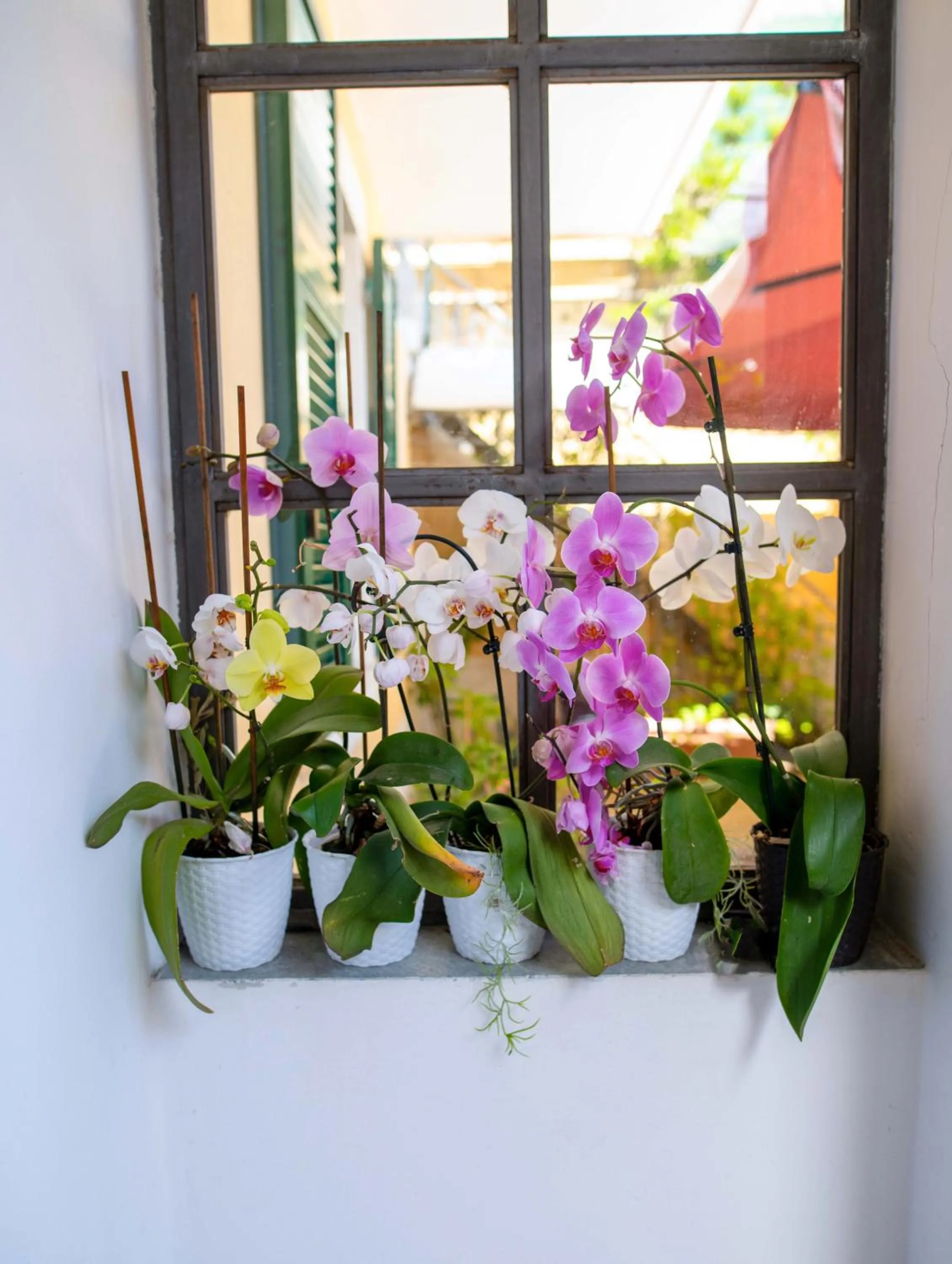 Facade/entrance in Hotel Miranda