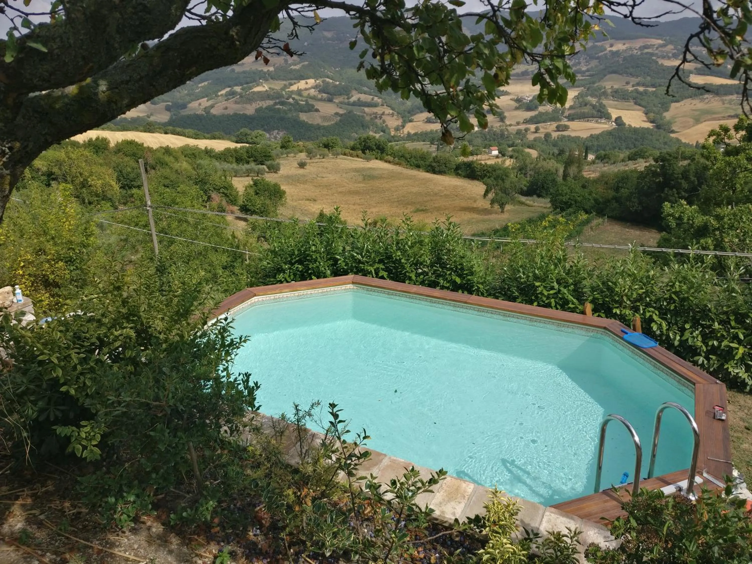 Swimming pool in B&B La Terrazza Del Subasio