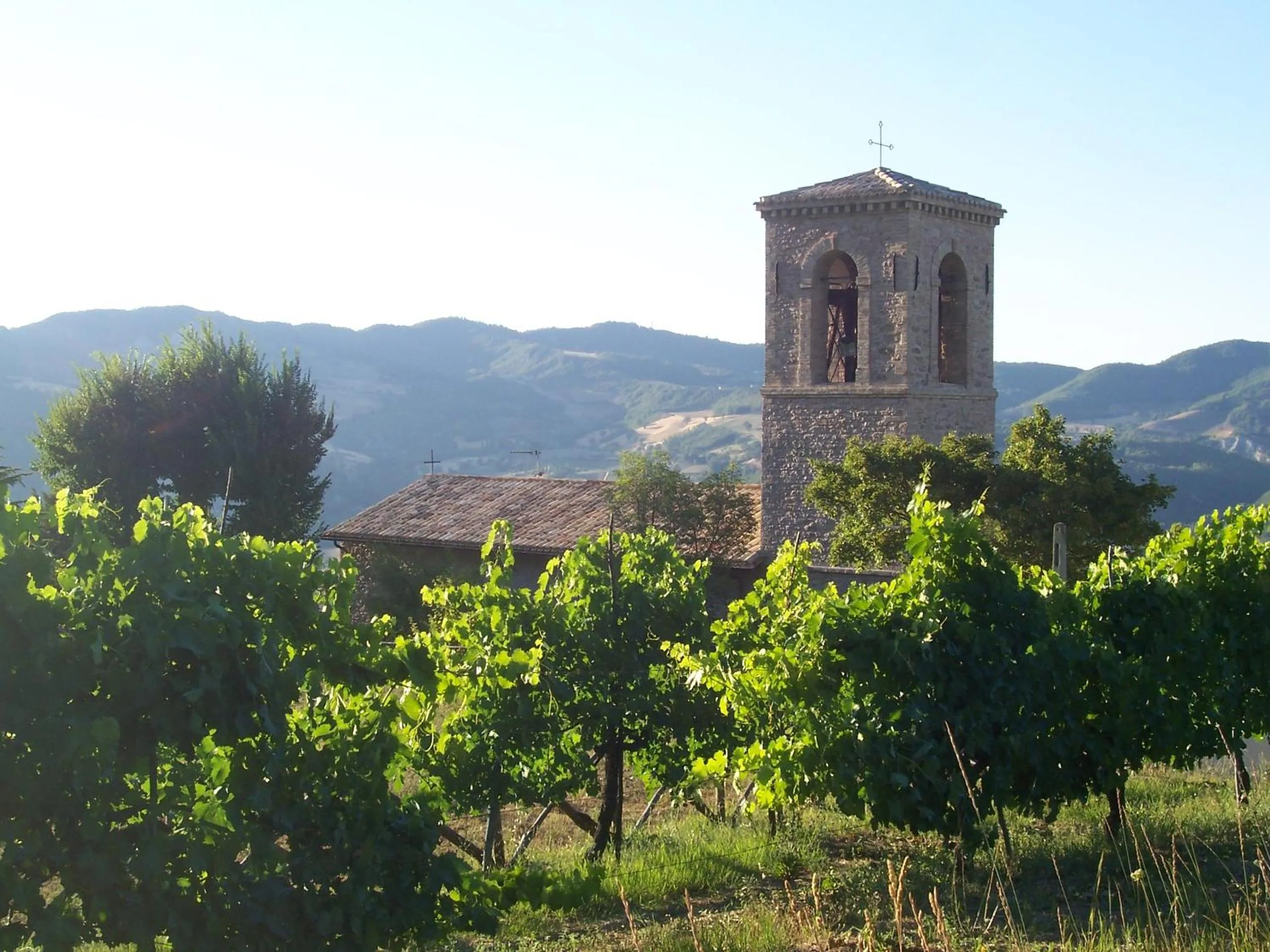 B&B La Terrazza Del Subasio