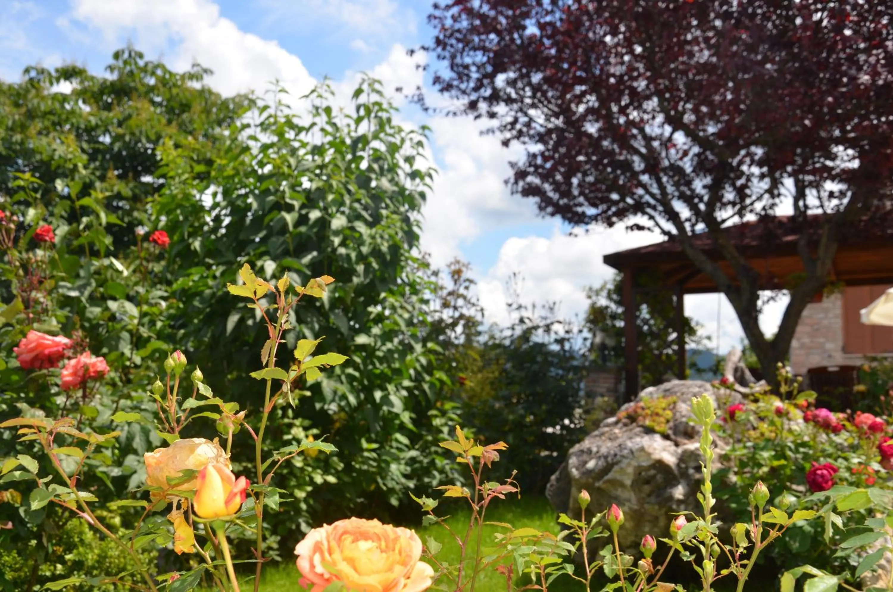 Garden in B&B La Terrazza Del Subasio