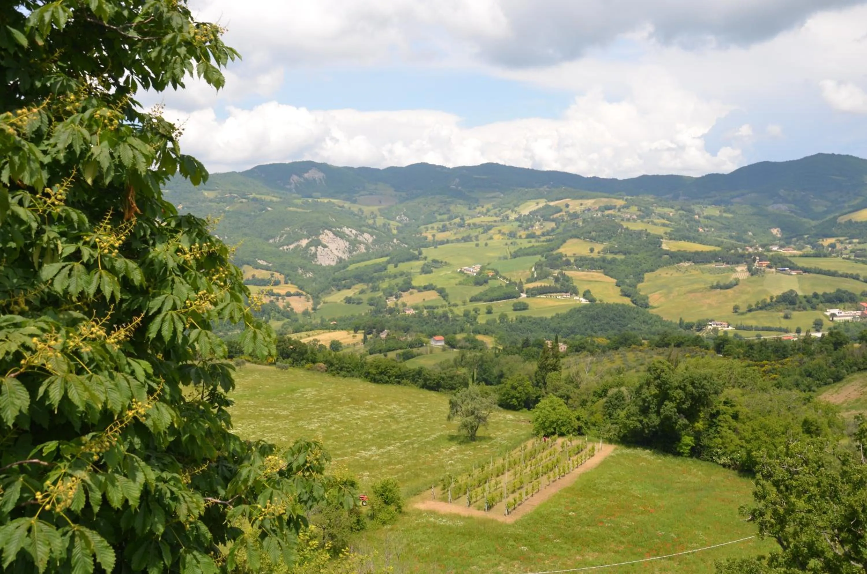 Other in B&B La Terrazza Del Subasio