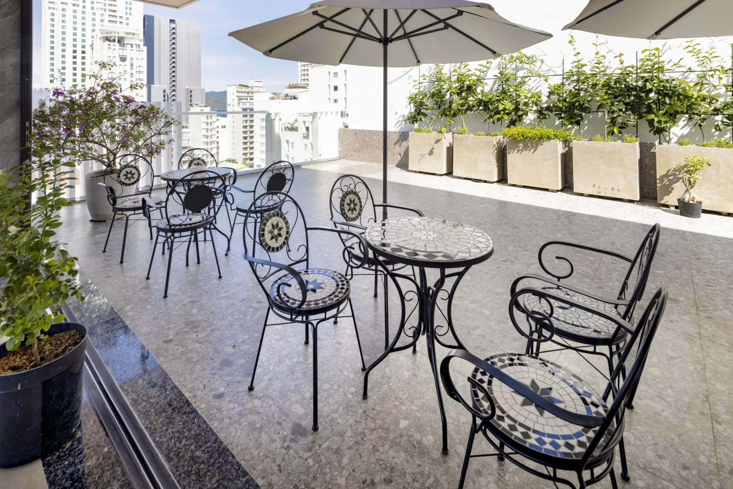 Garden in The Summer Hotel