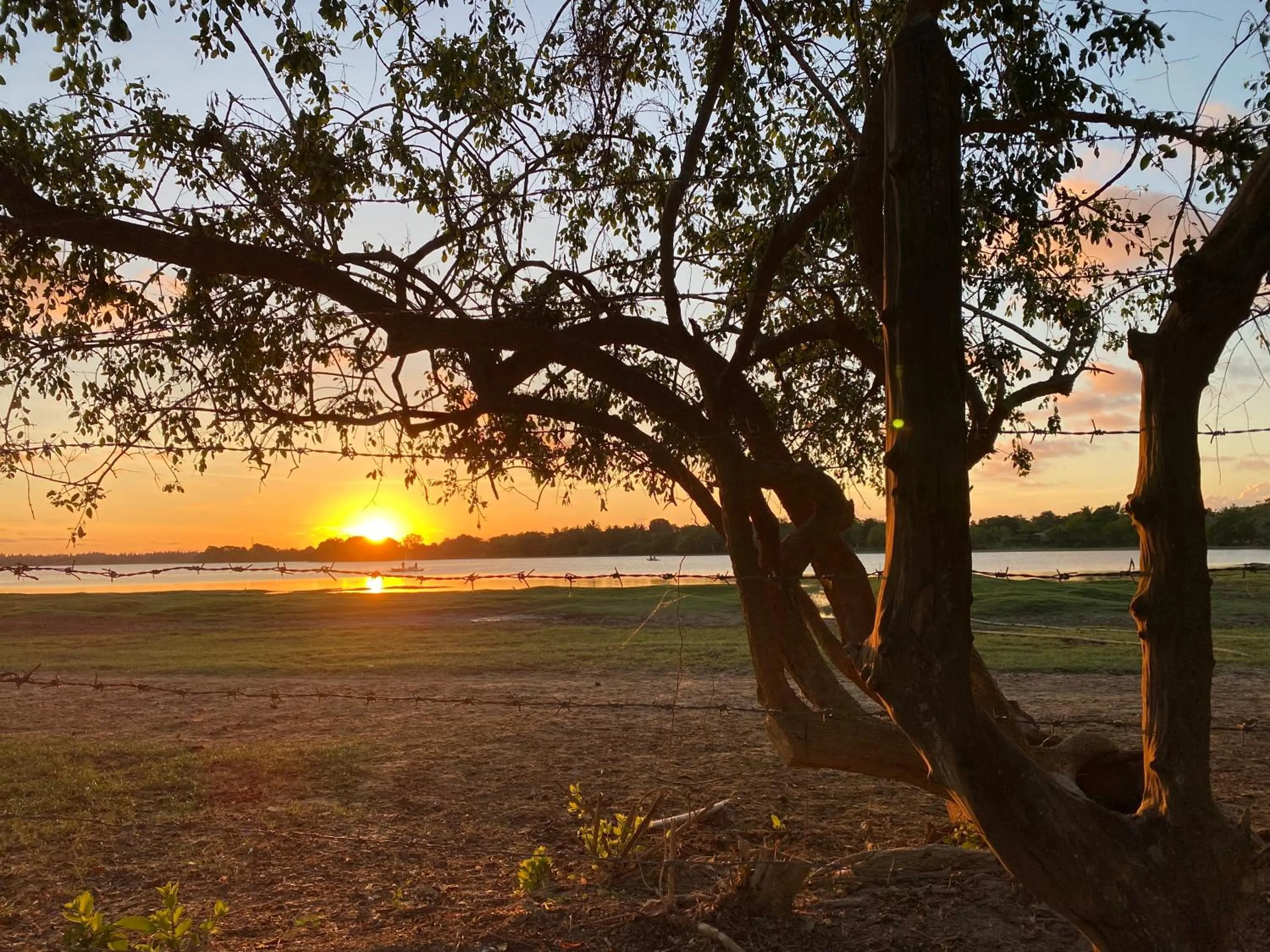 Natural landscape in Yala Lake View Cabanas
