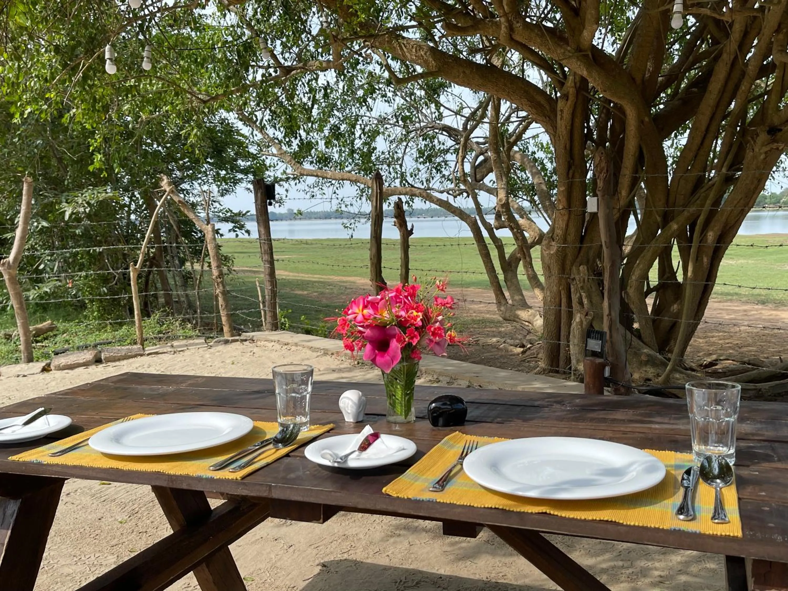 Food and drinks in Yala Lake View Cabanas