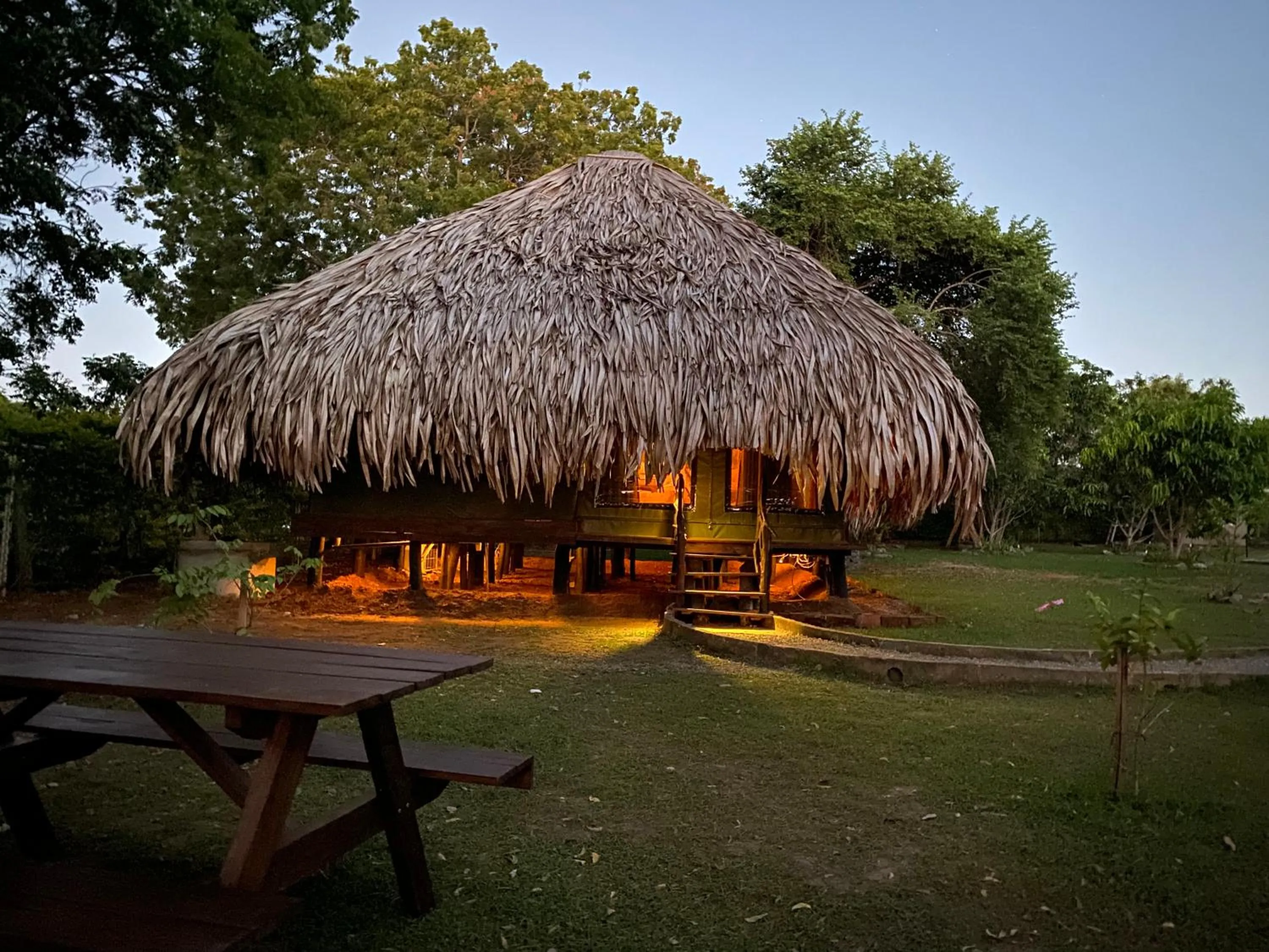 Garden view in Yala Lake View Cabanas
