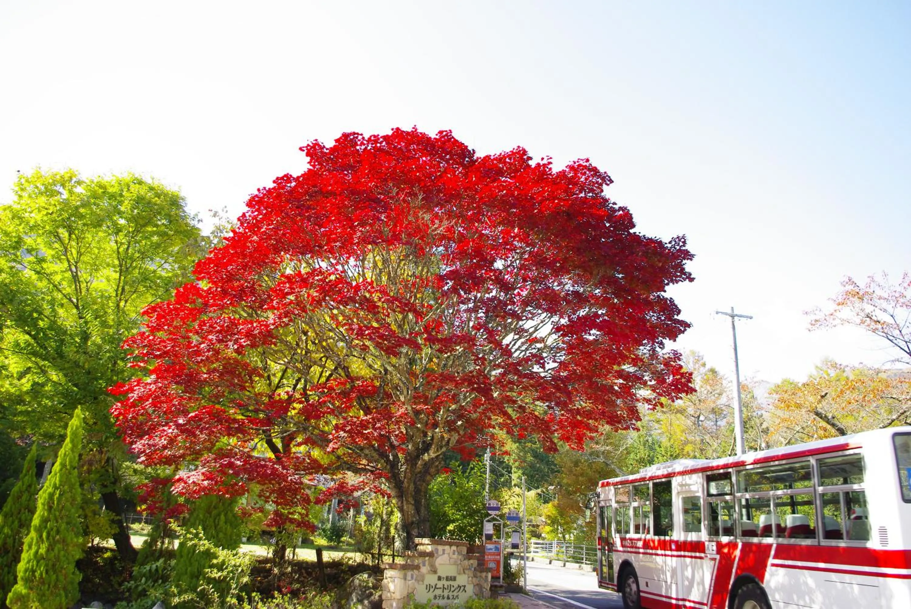 Property building in Komagane Kogen Resort Linx