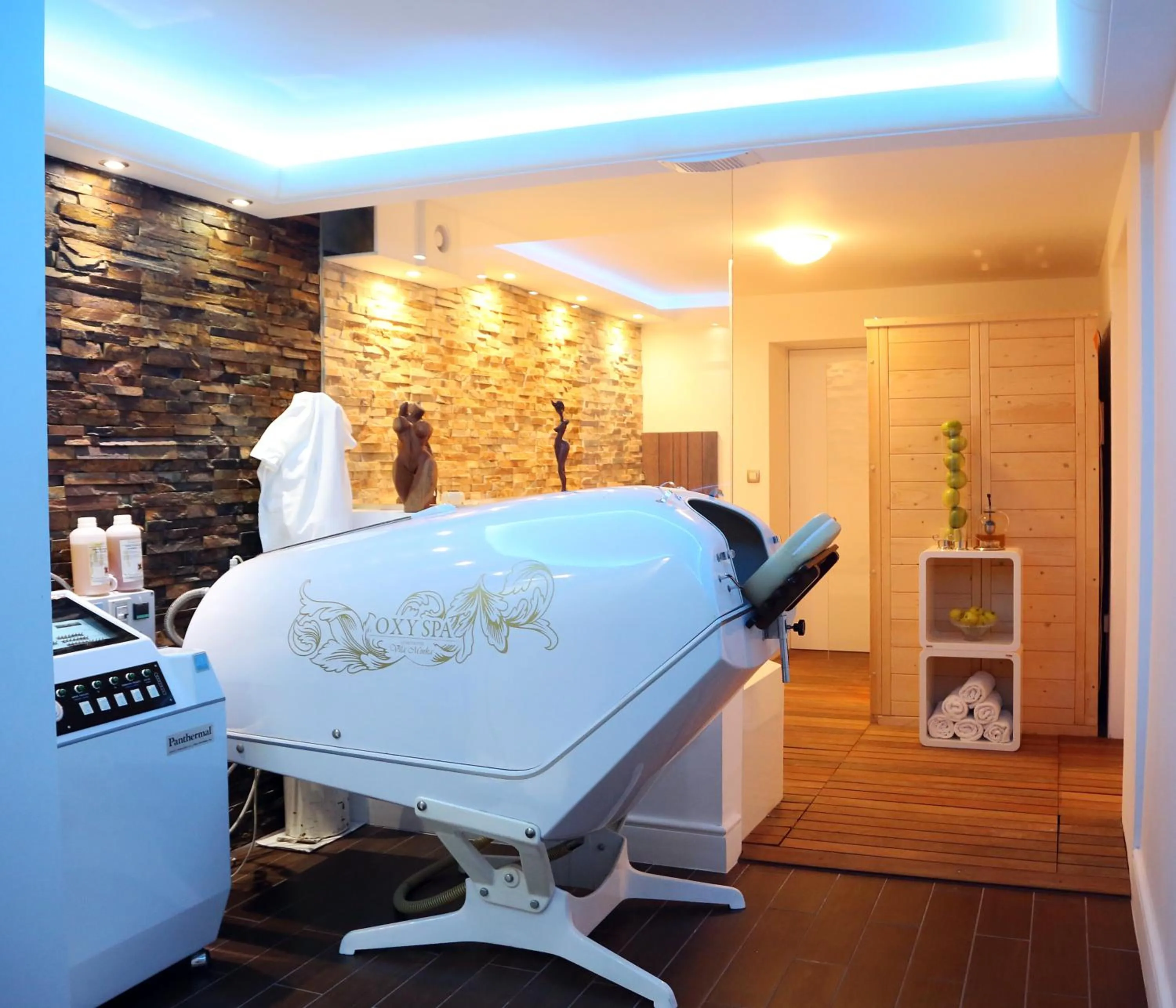 Spa and wellness centre/facilities in ApartHotel Vila Minka