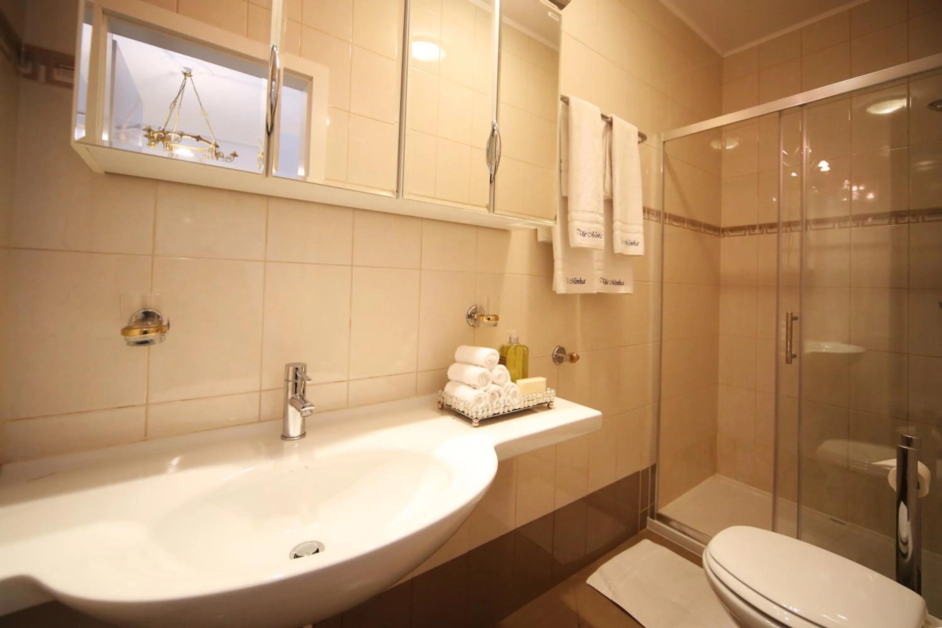 Shower in ApartHotel Vila Minka