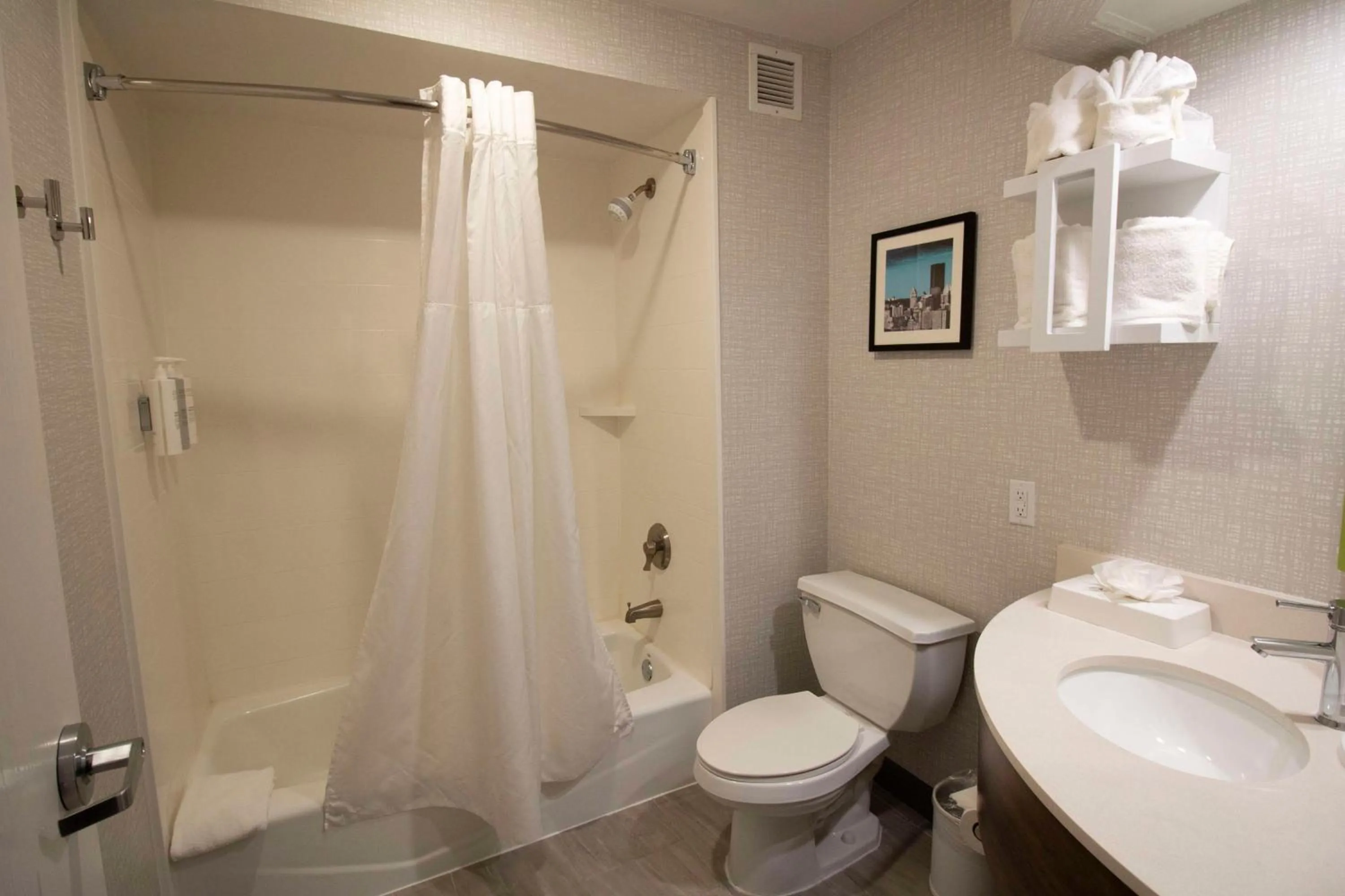 Bathroom in Hampton Inn Kent/Akron Area