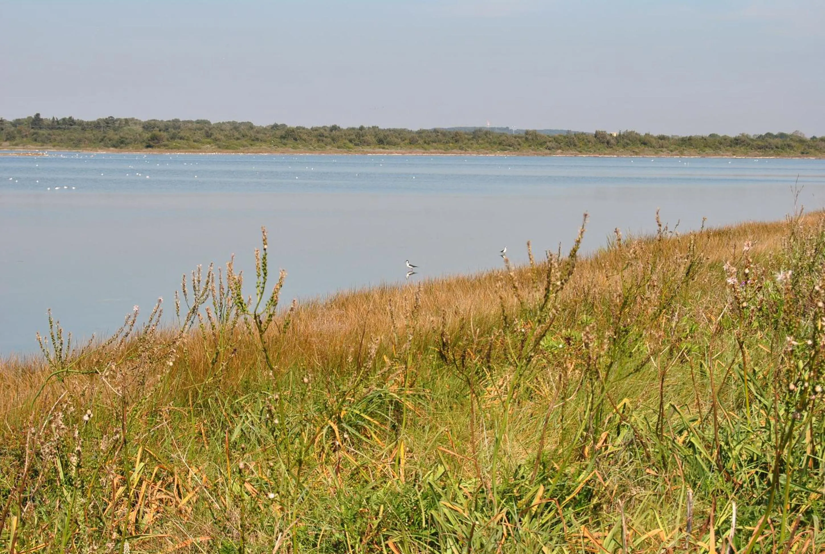 Sea view in Il melograno b&b