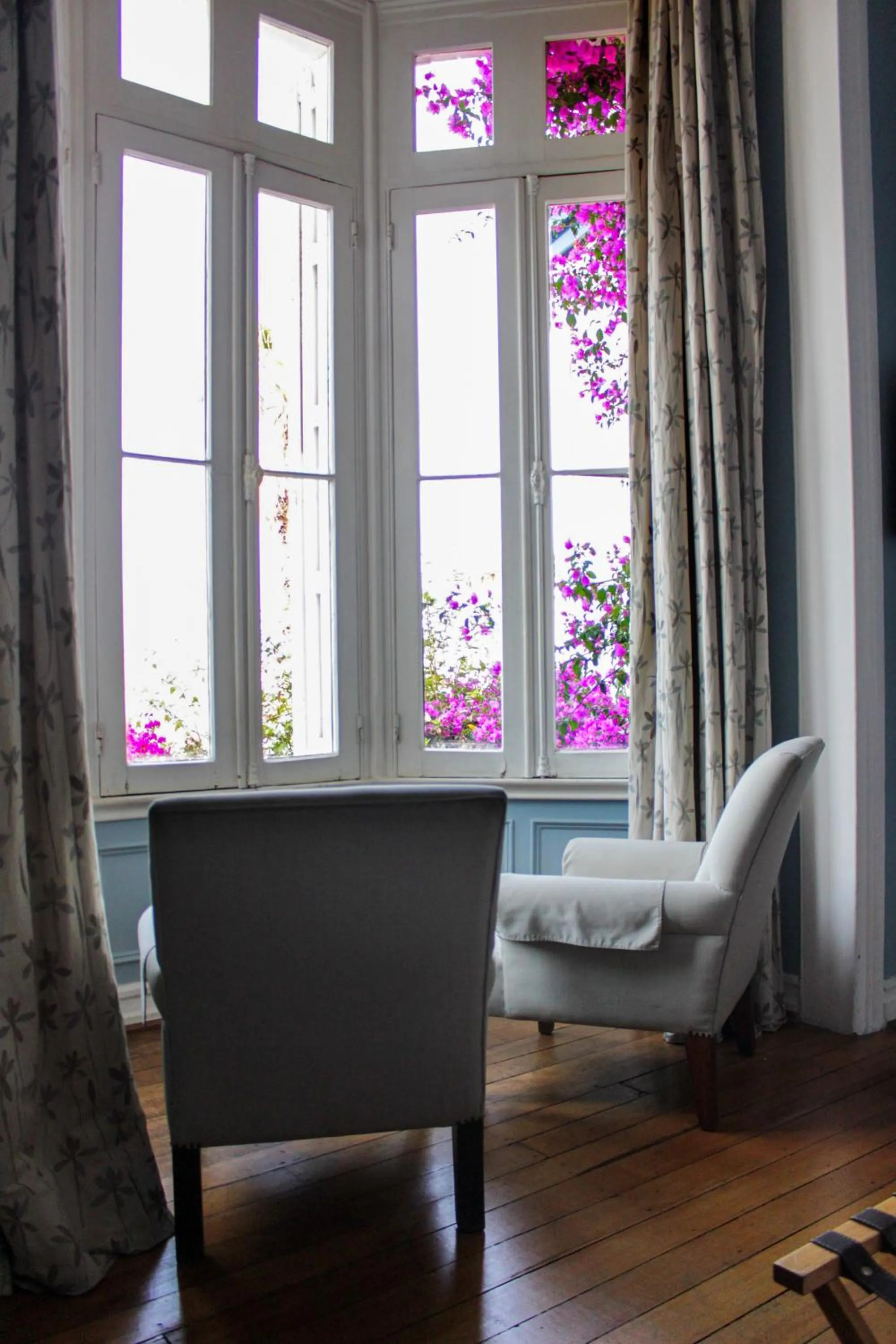 Garden view in Zerohotel