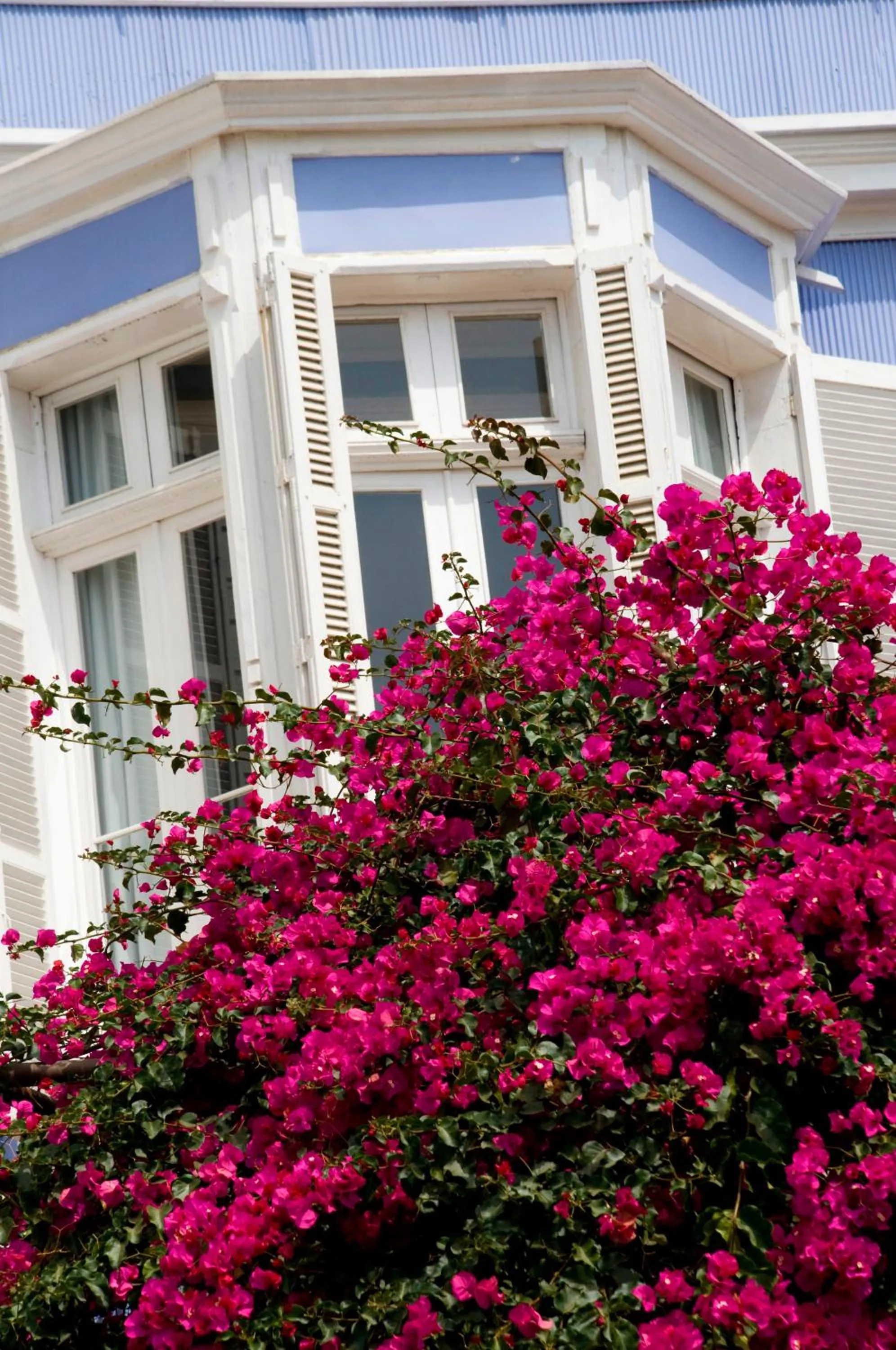 Property building in Zerohotel