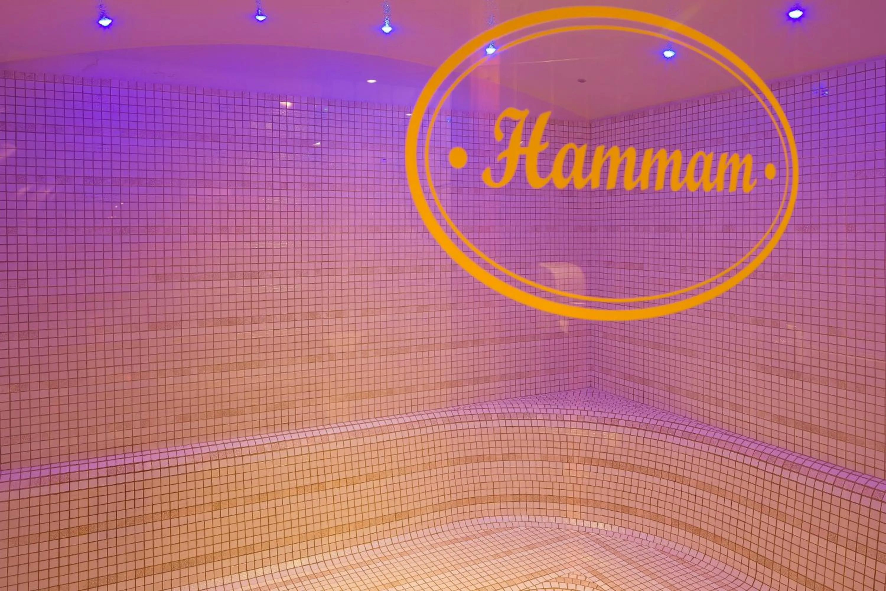Steam room in Hôtel et Spa Le Delta