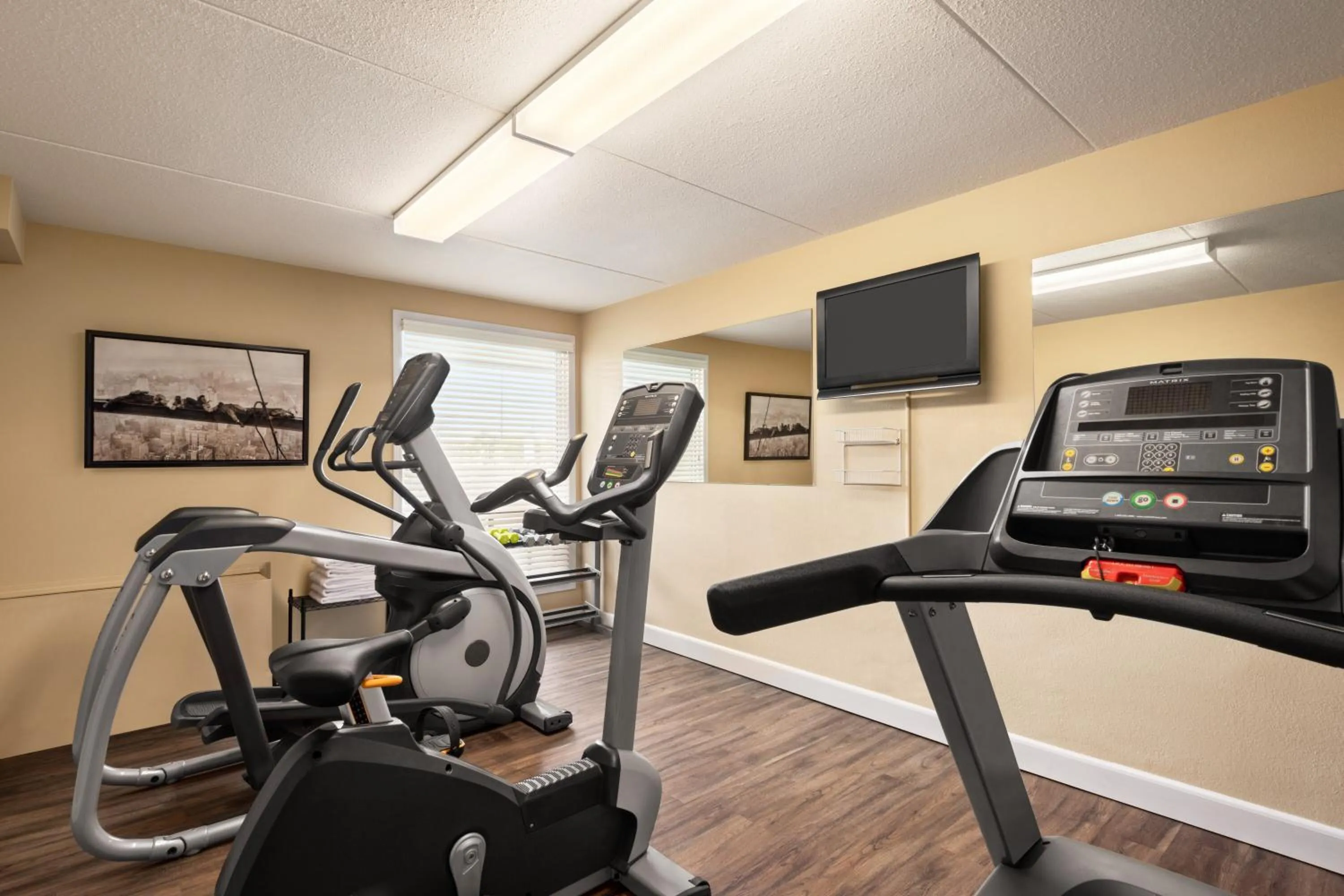 Fitness centre/facilities in Royal Hotel Regina, Trademark Collection by Wyndham