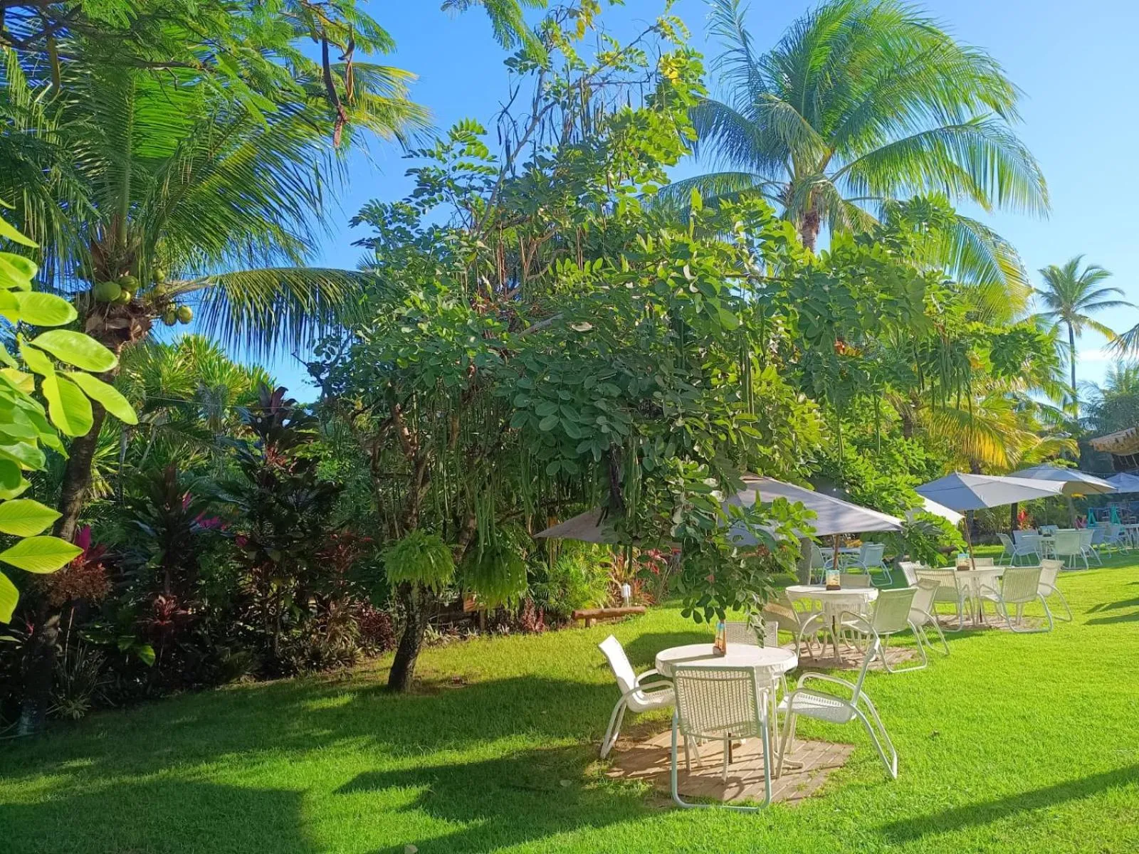 Garden view in Porto Zarpa Hotel