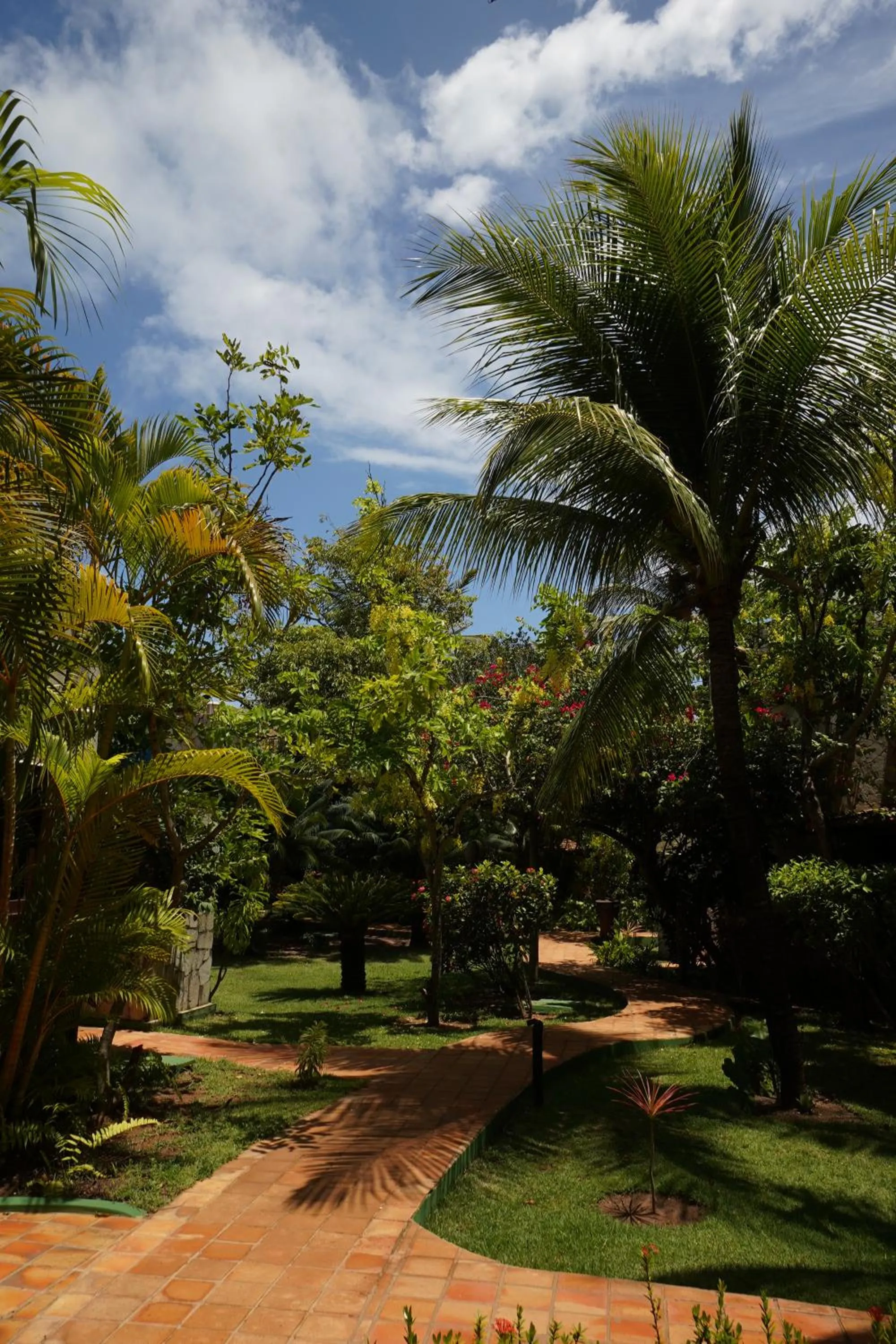 Garden in Domus Villas