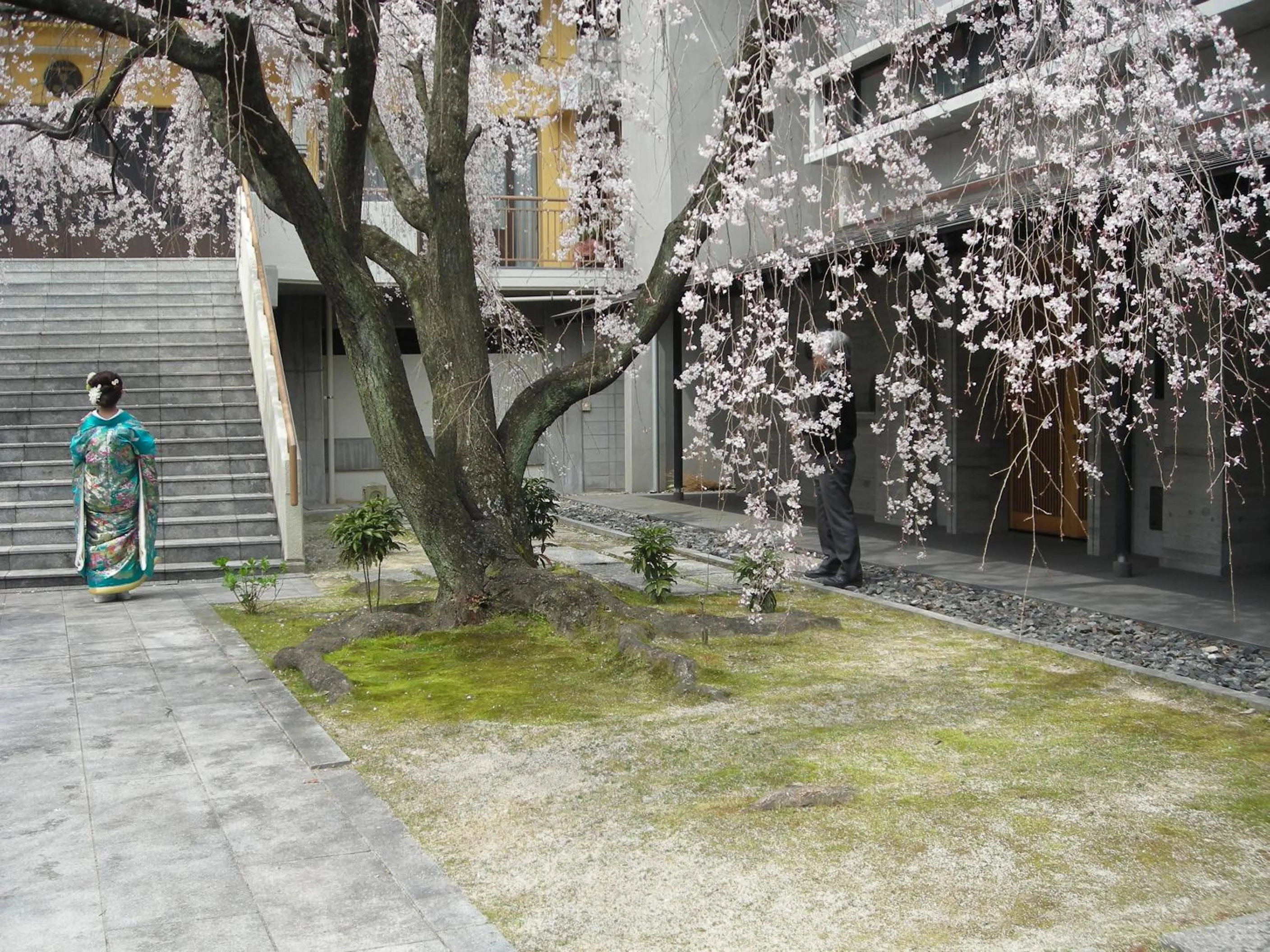 View (from property/room) in Kasuga Ryokan