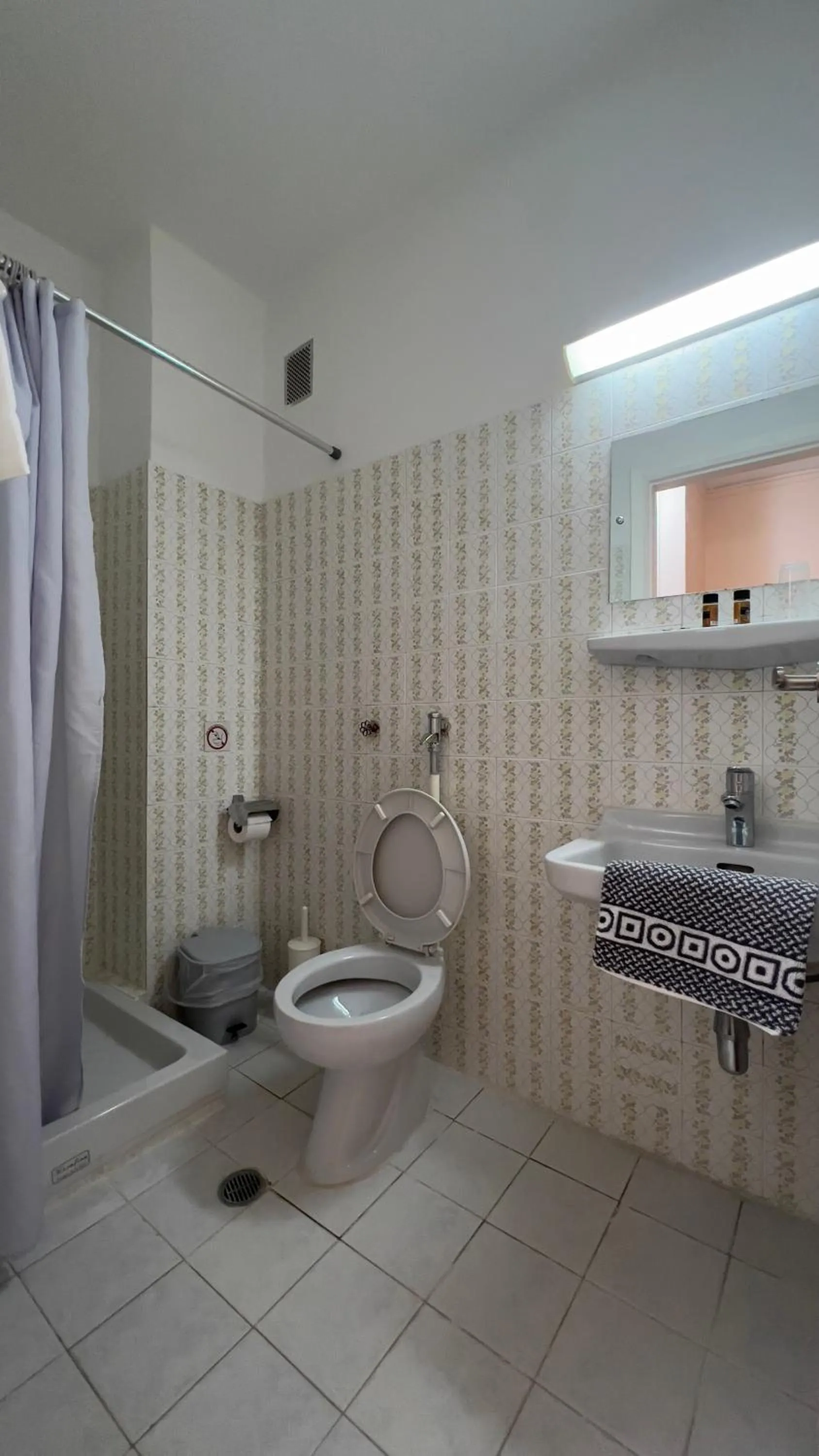 Toilet in Hotel Cosmos