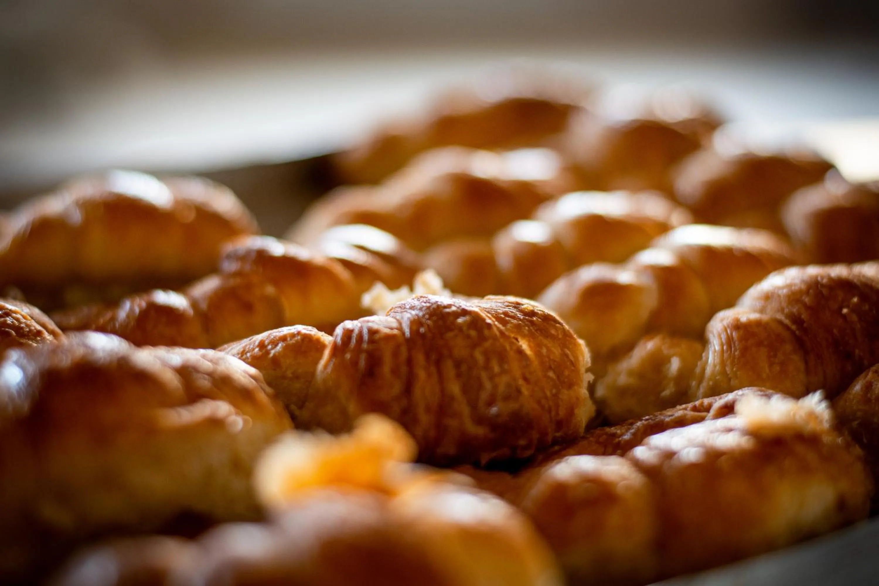 Food and drinks in Konke Calafate Hotel