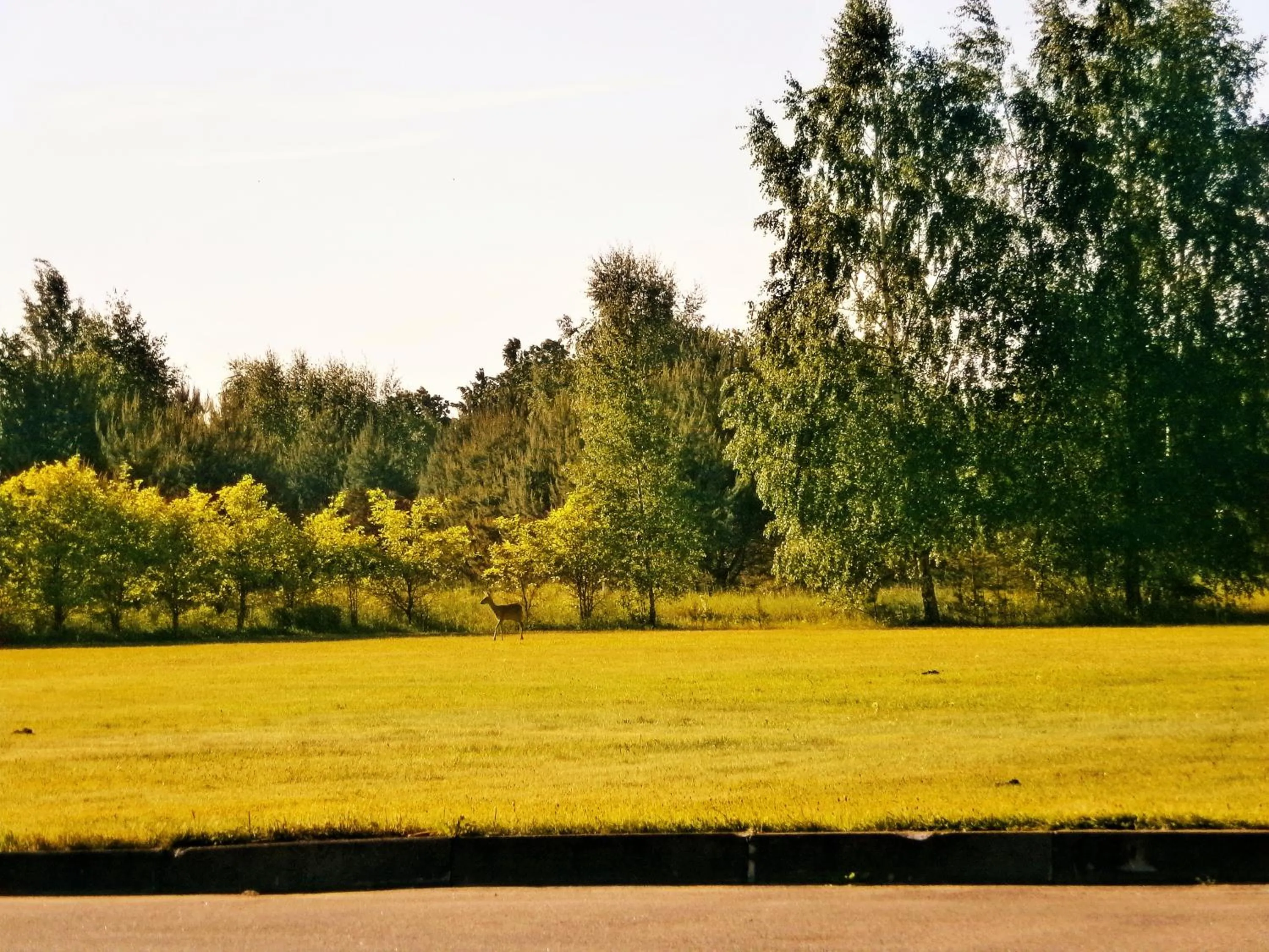 Natural landscape in Airport Hotel Mara