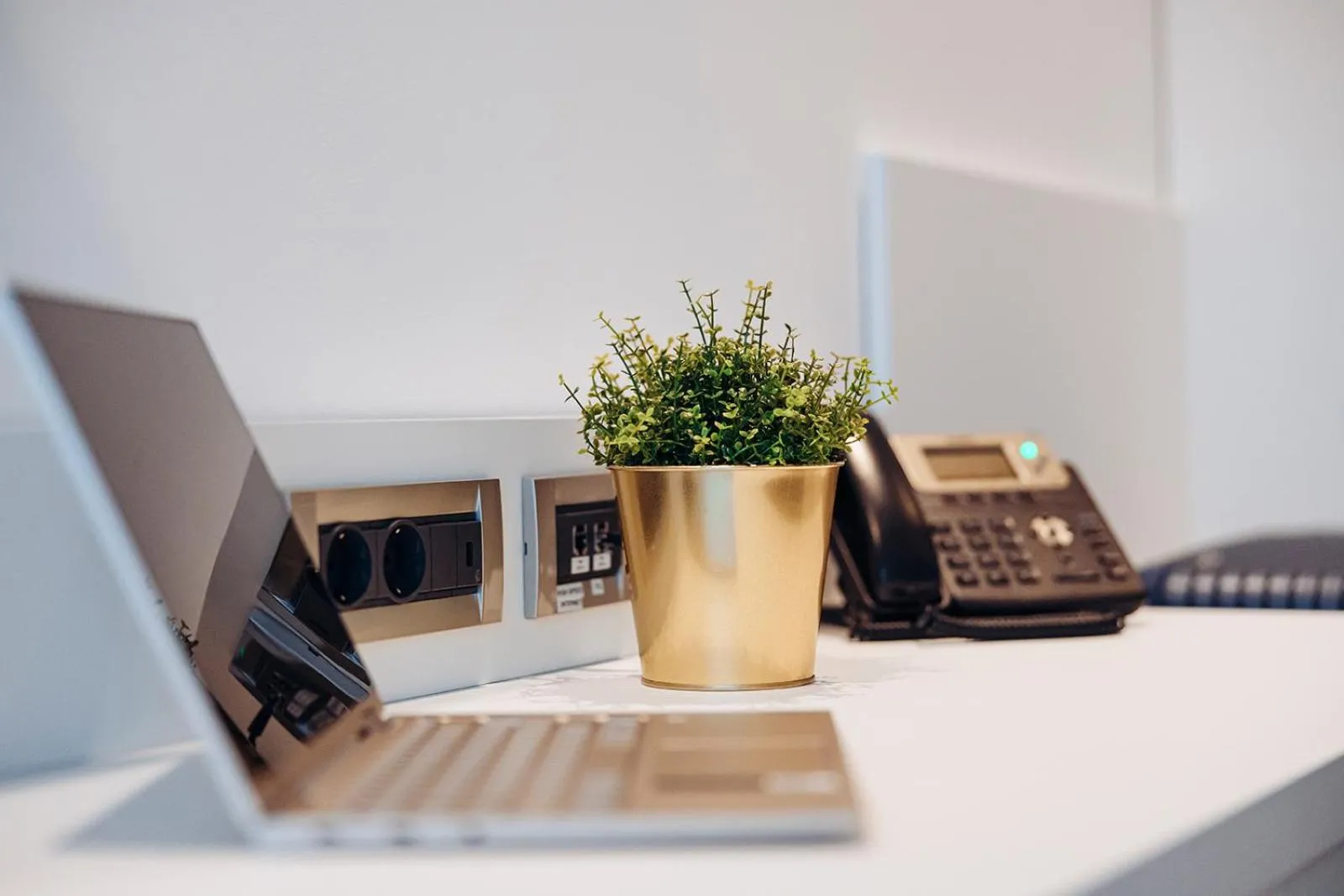 Decorative detail in Antunović Hotel East