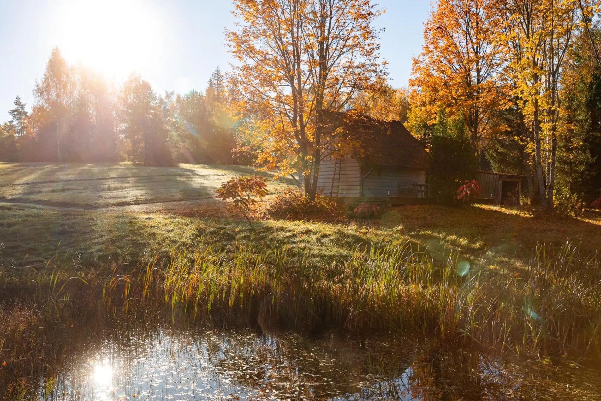 Sauna in Karlamuiza Country Hotel
