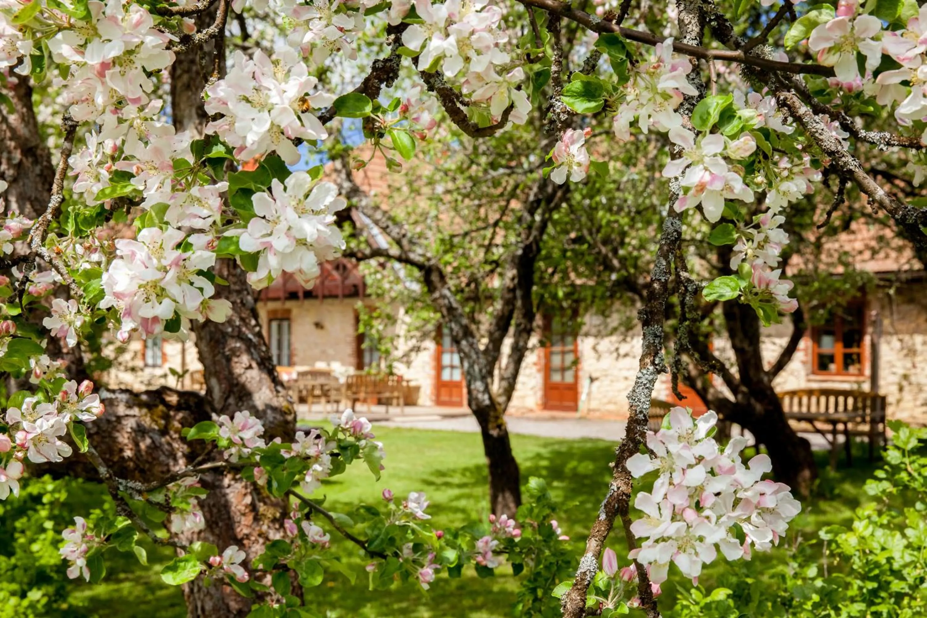 Property building in Karlamuiza Country Hotel