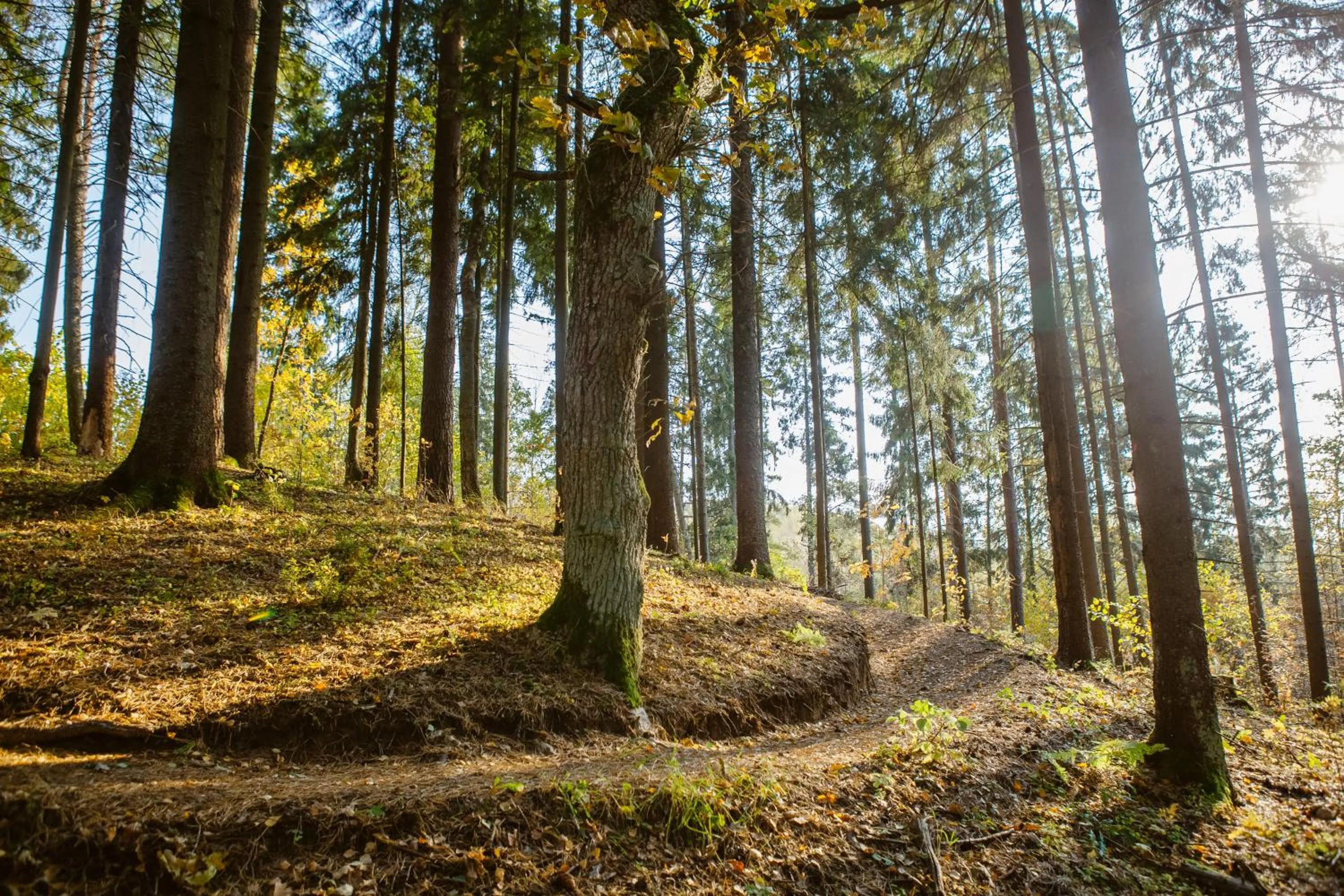 Nearby landmark in Karlamuiza Country Hotel