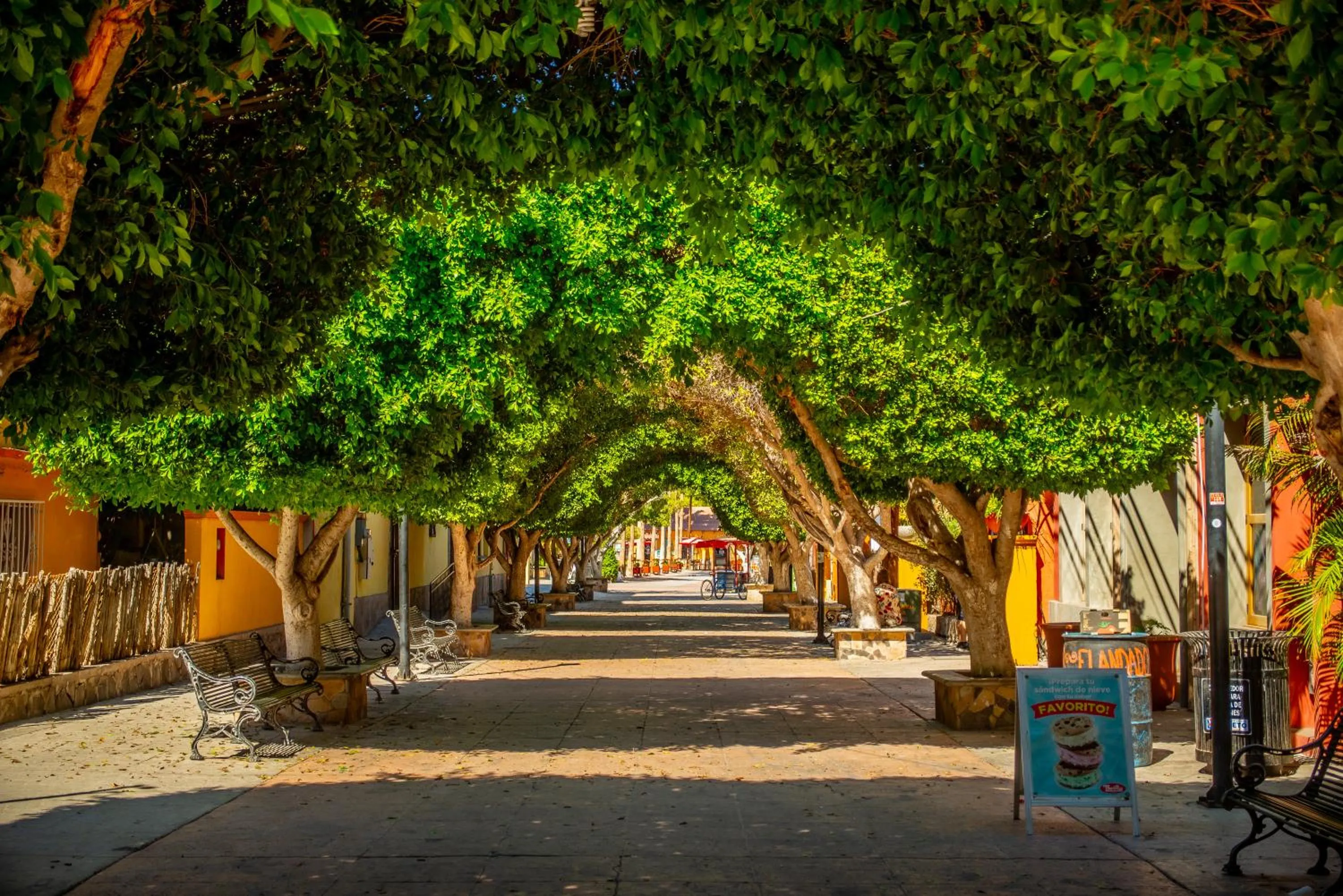 Nearby landmark in Hotel Santa Fe Loreto by Villa Group