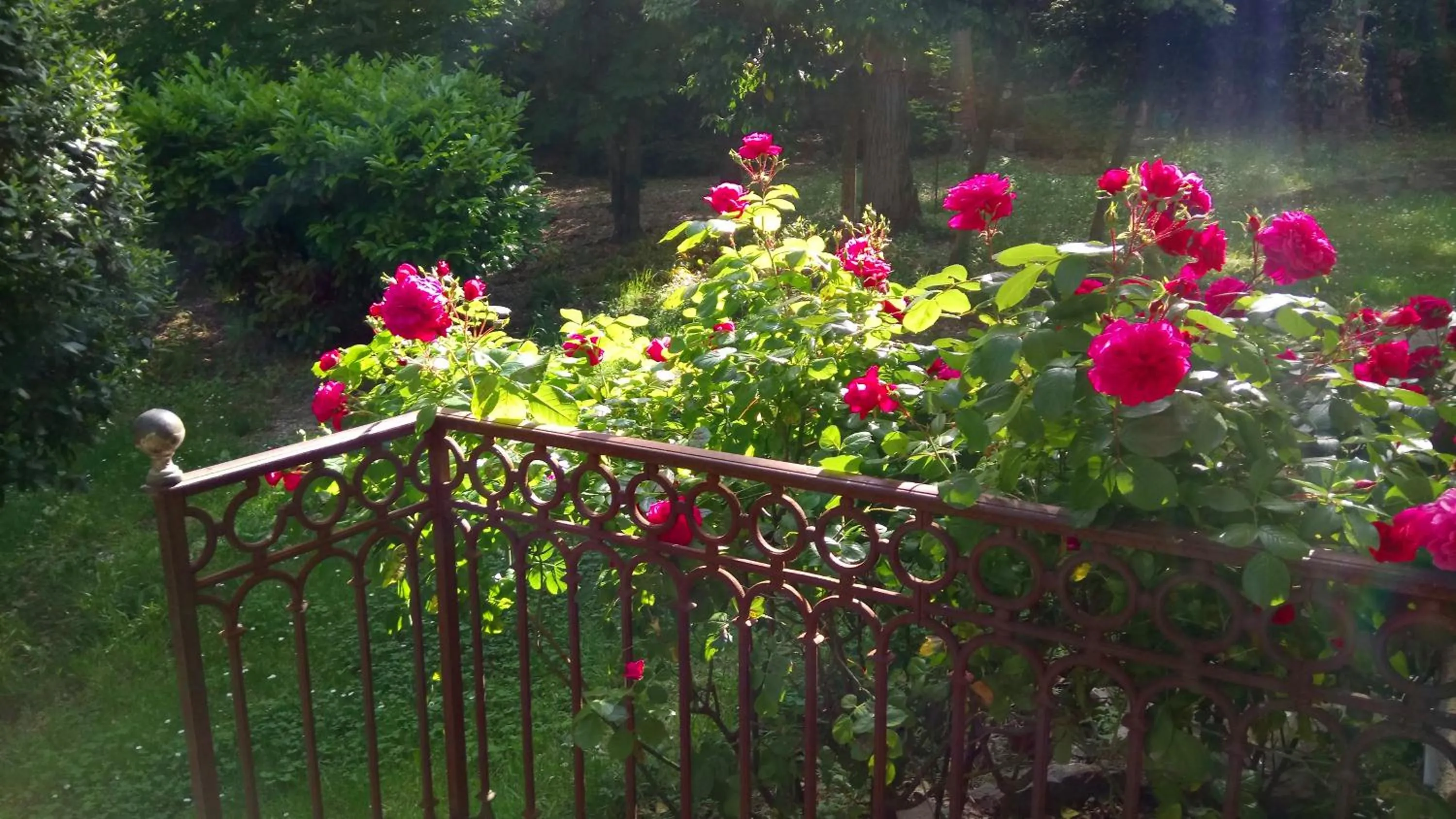 Spring in Domaine du Paraïs B&B