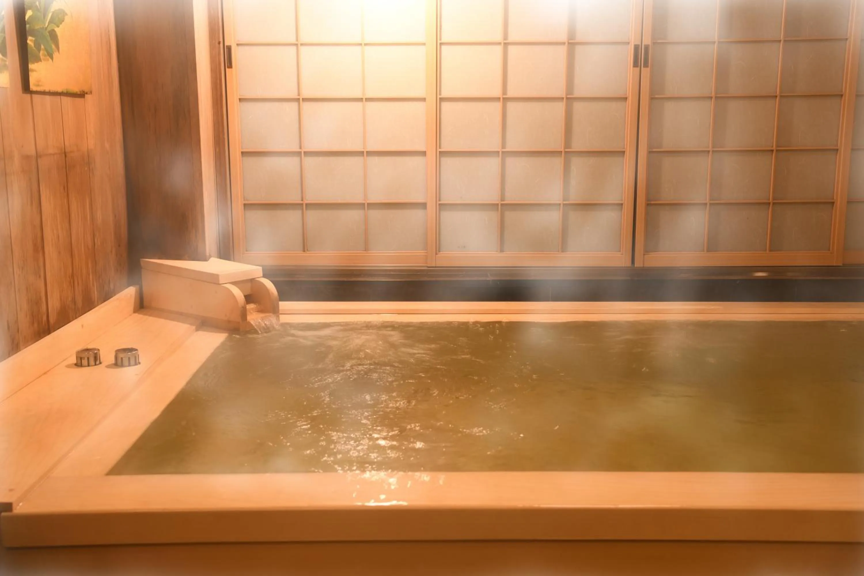 Public Bath in Seikoro Ryokan - Established in 1831