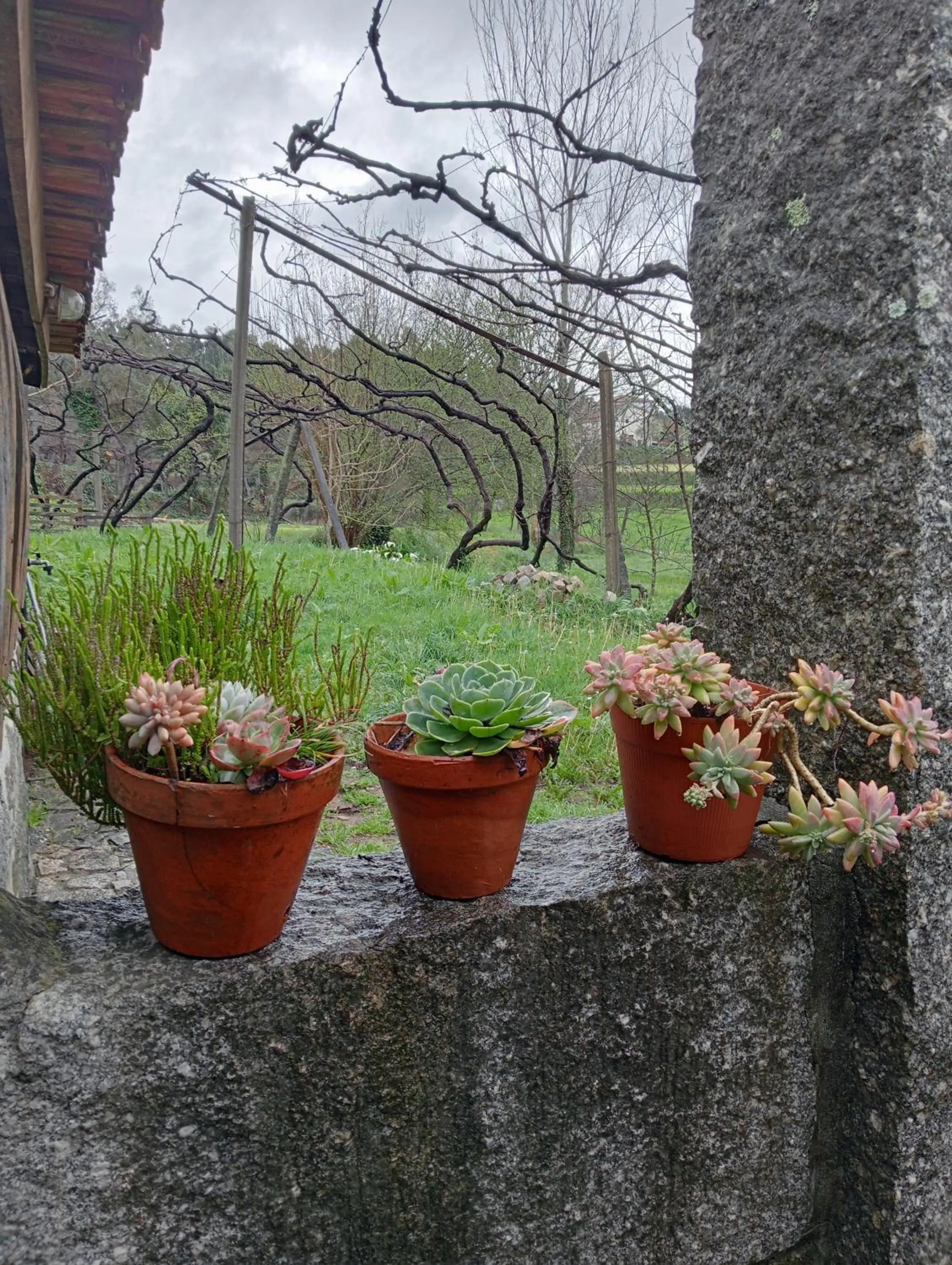 Garden view in VianasHome
