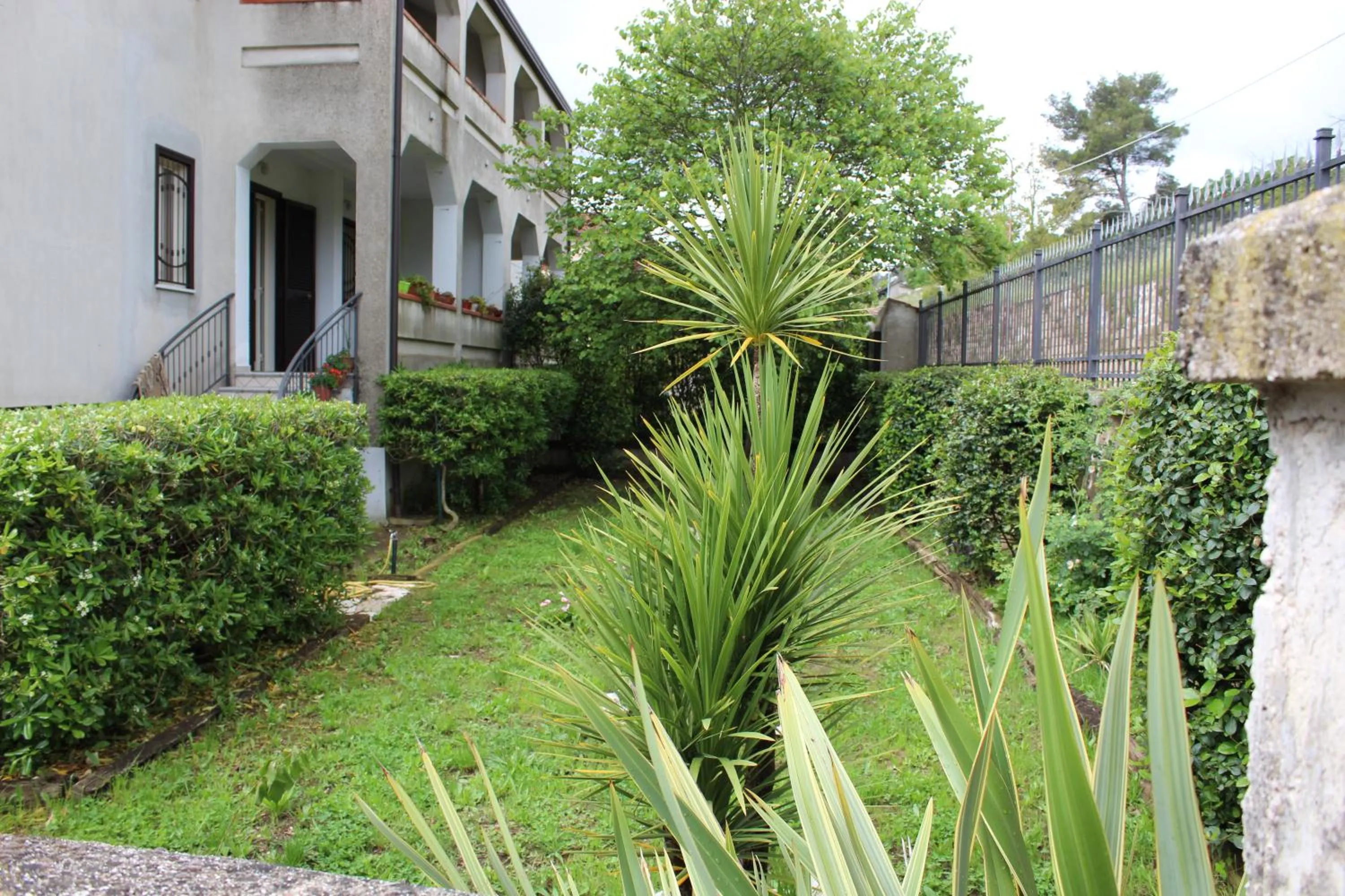 Summer in Libro di Sogni - B&B Letterario