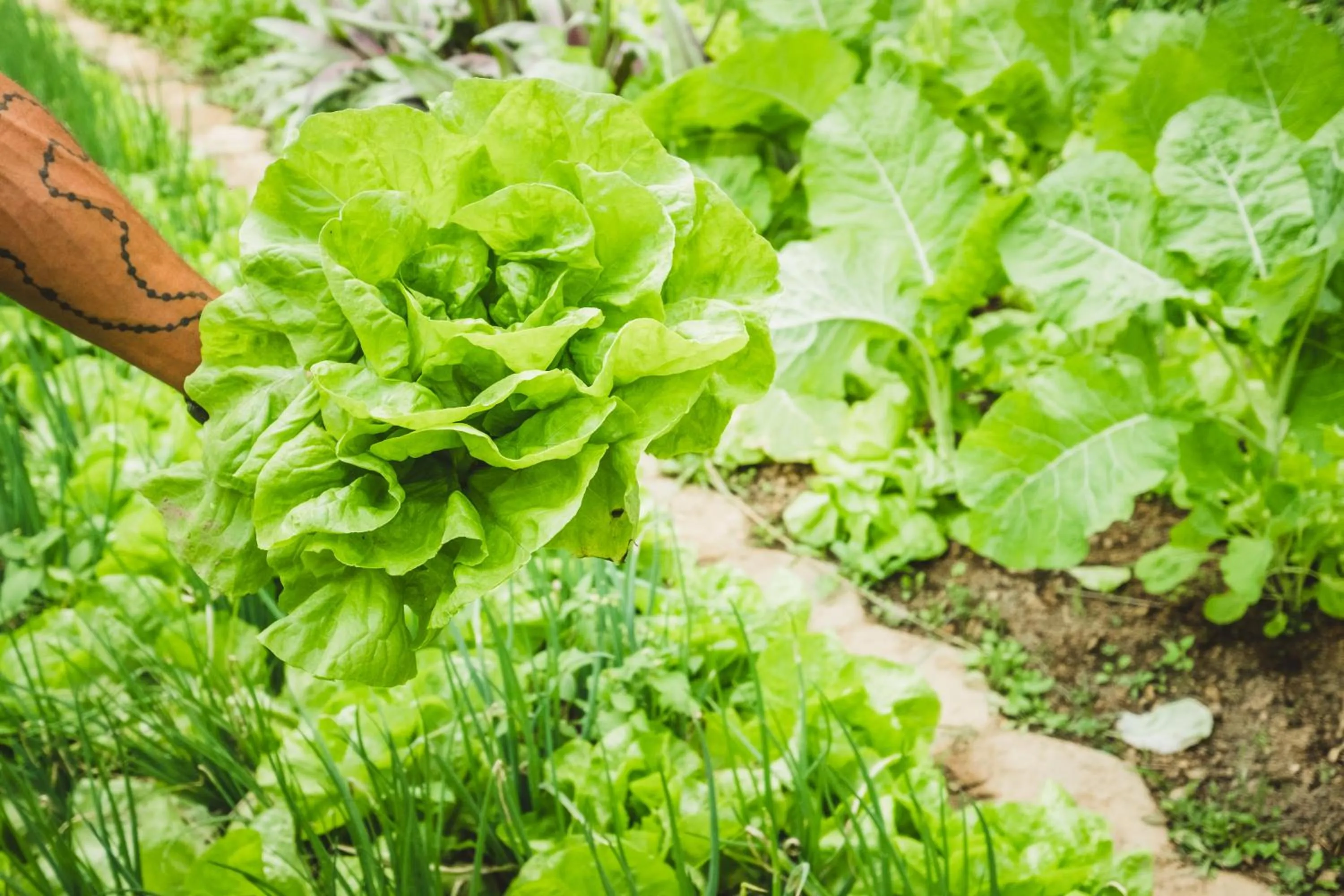 Hotel Pousada Vovô Zinho