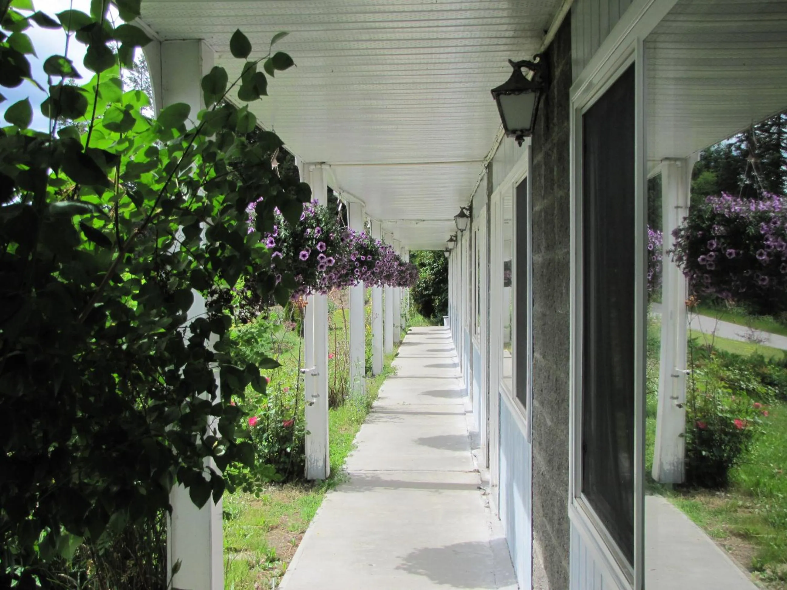 Property building in High Country Inn