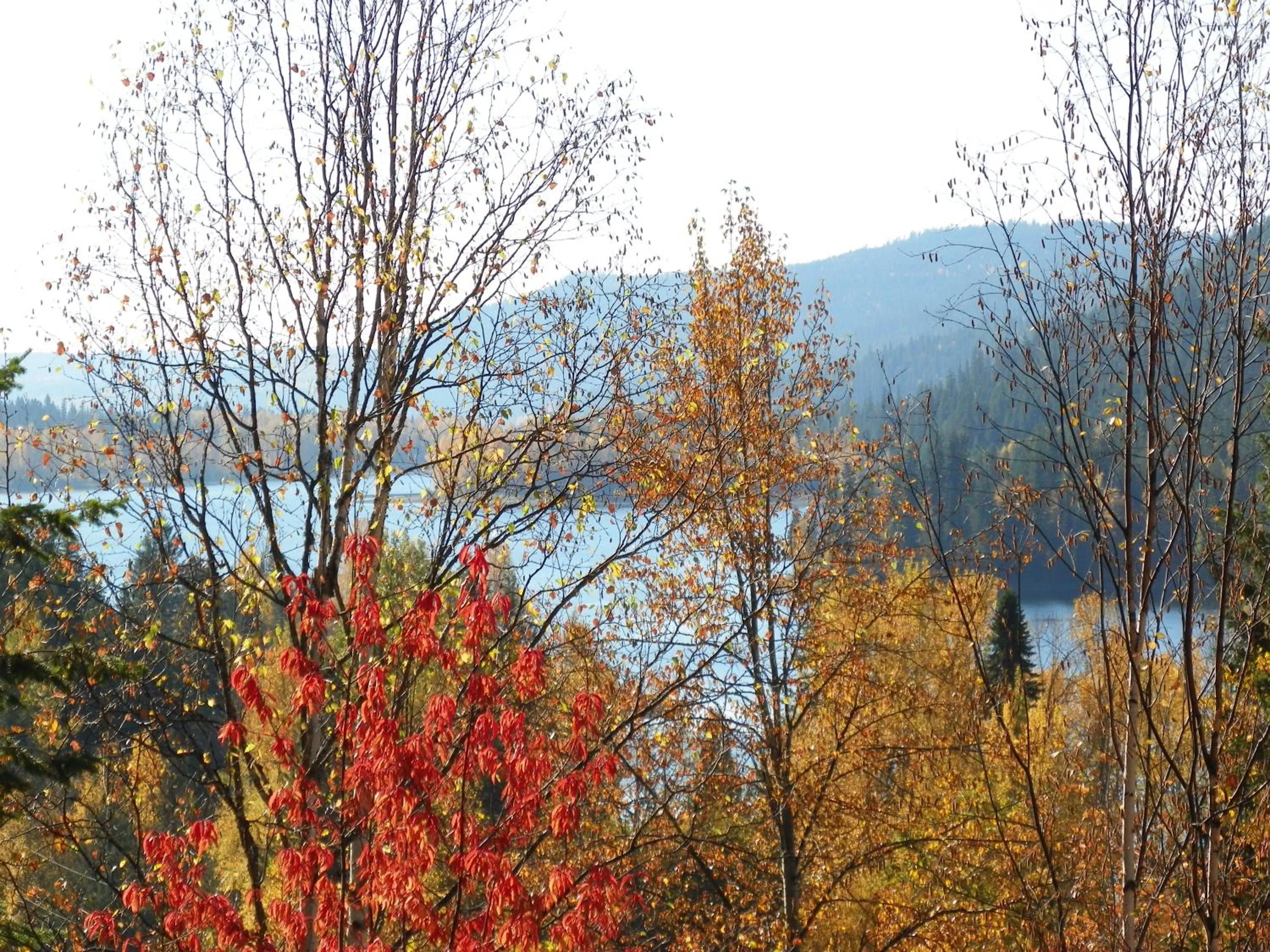 Lake view in High Country Inn