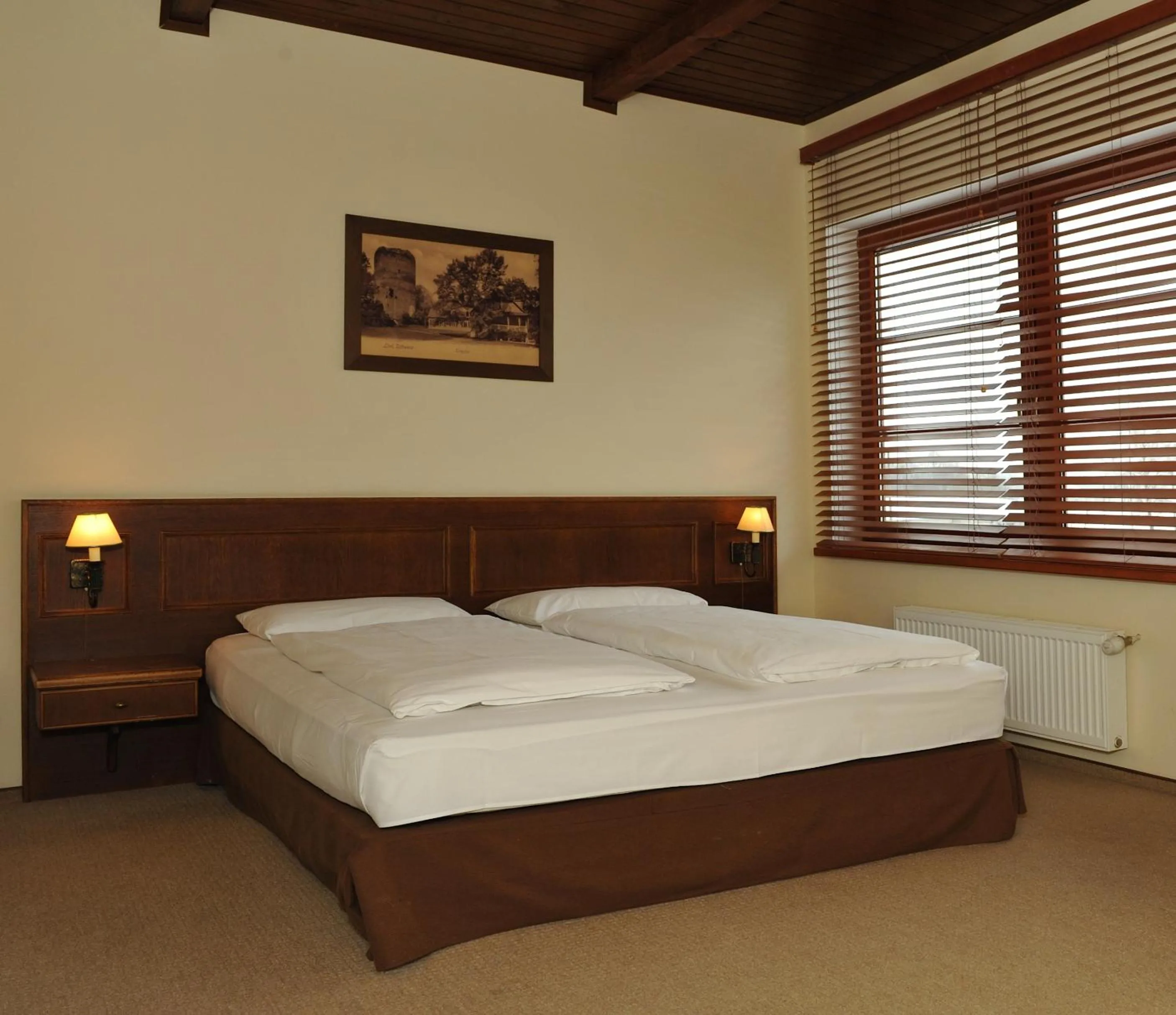 Double or Twin Room in Aparjods