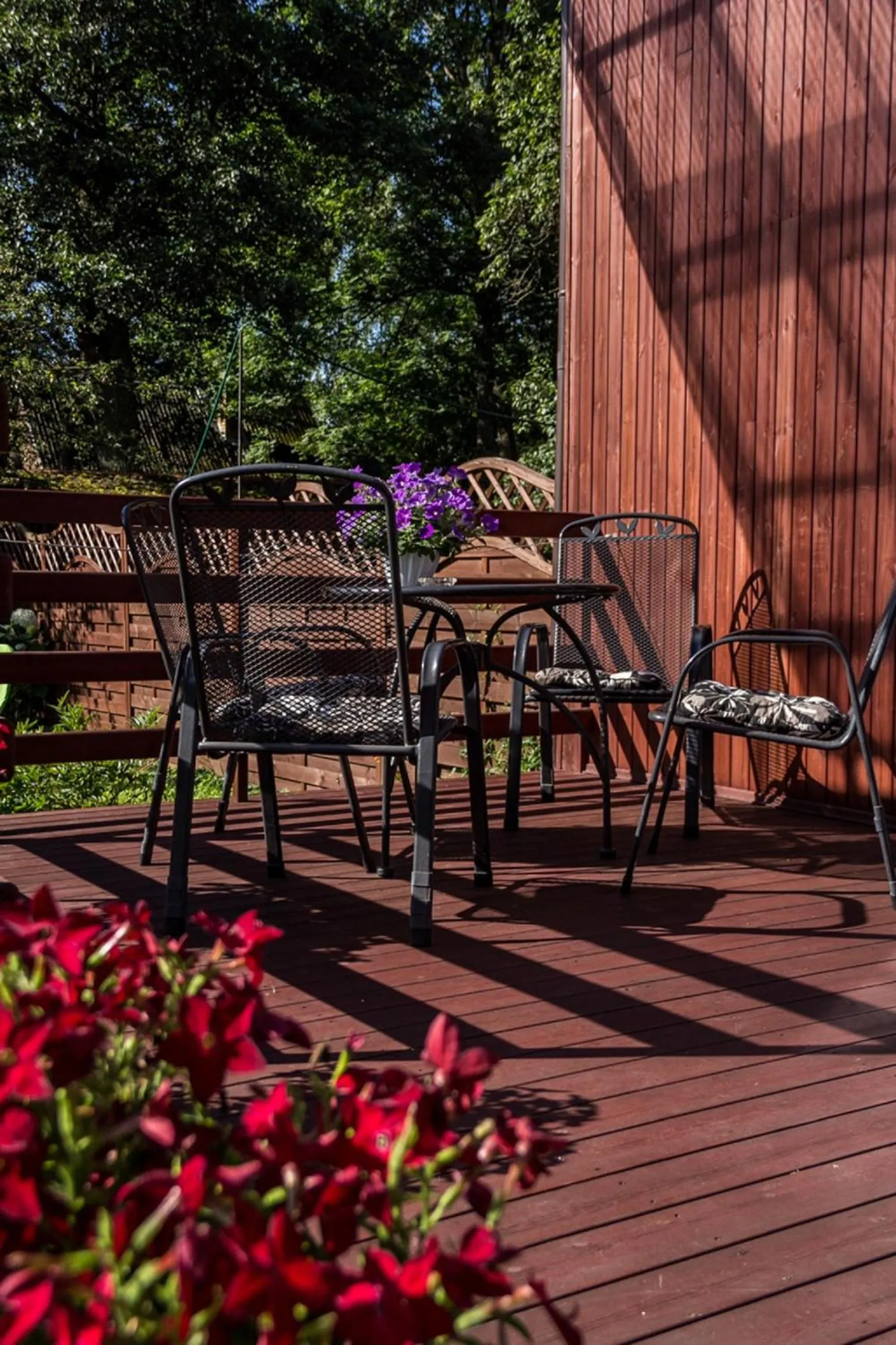 Balcony/Terrace in Alba Hotel