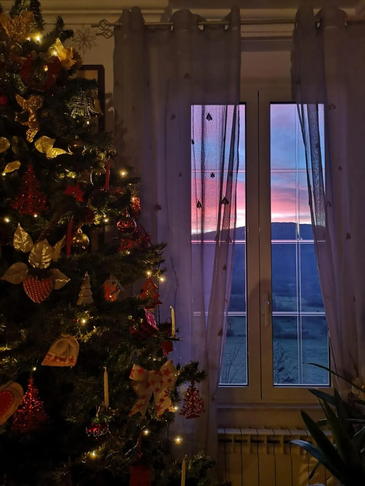 Casa per Ferie Metamorphosi