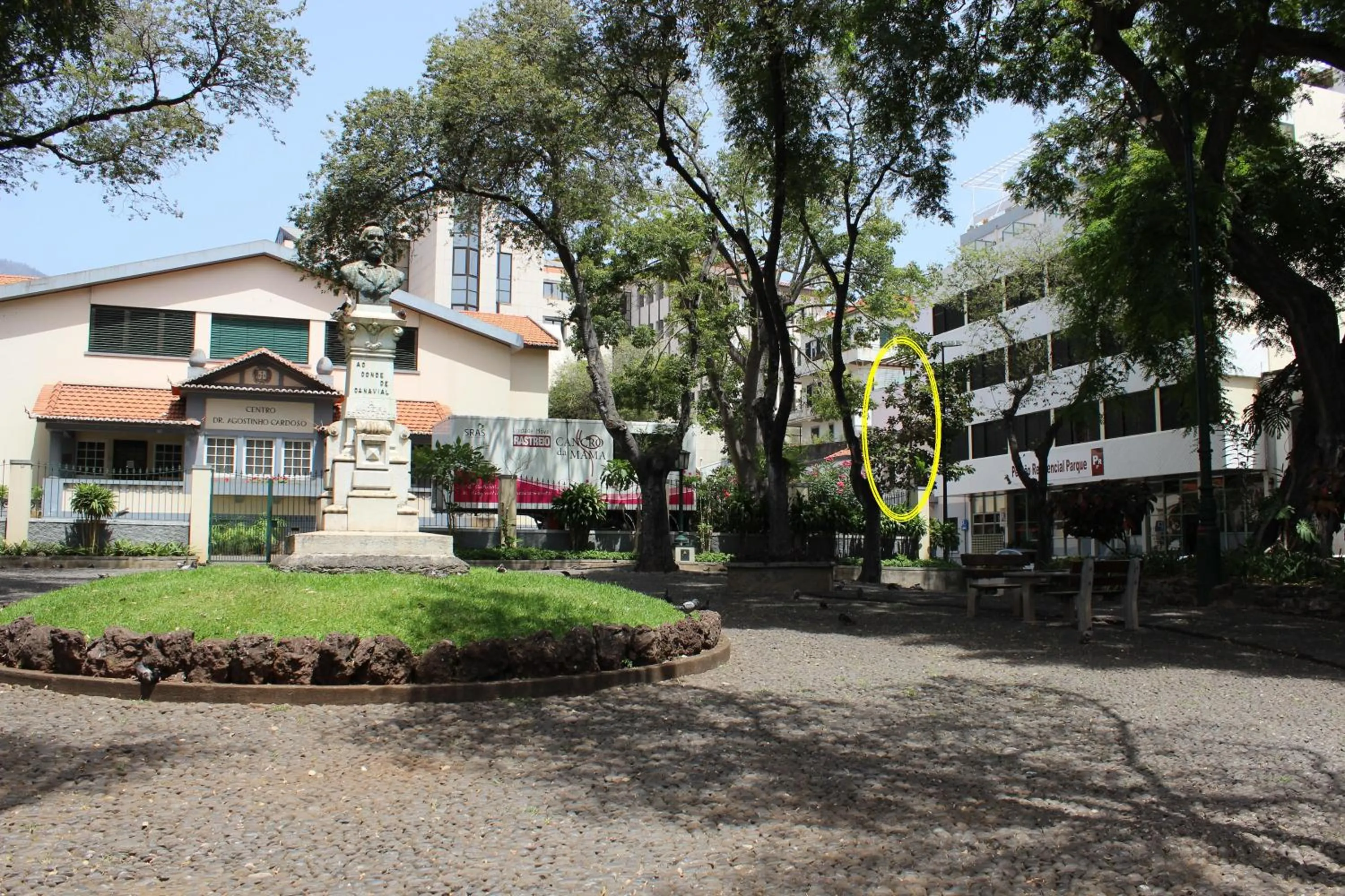Neighbourhood in Apartments Madeira City Center
