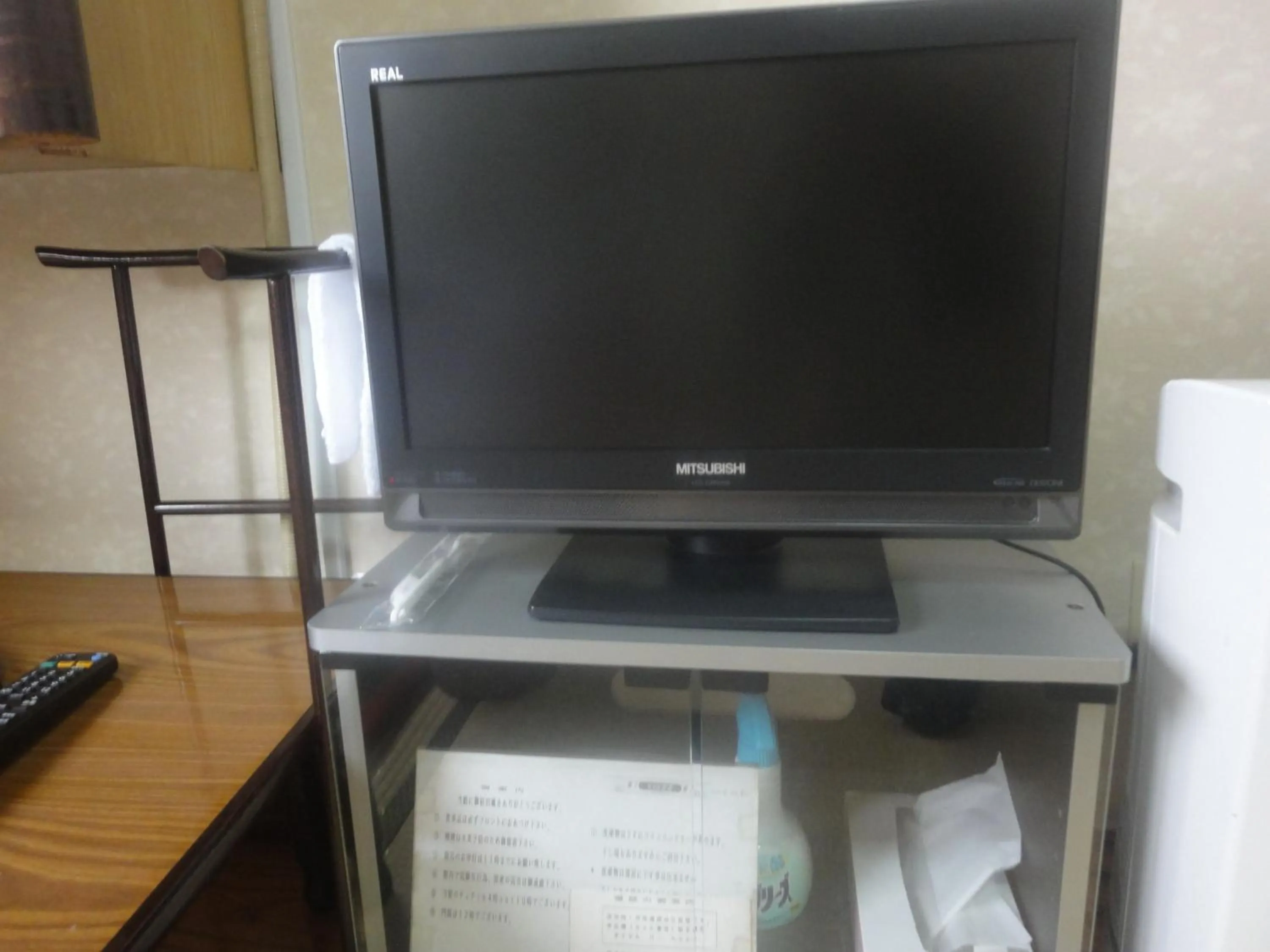 TV and multimedia in Tenryu Ryokan