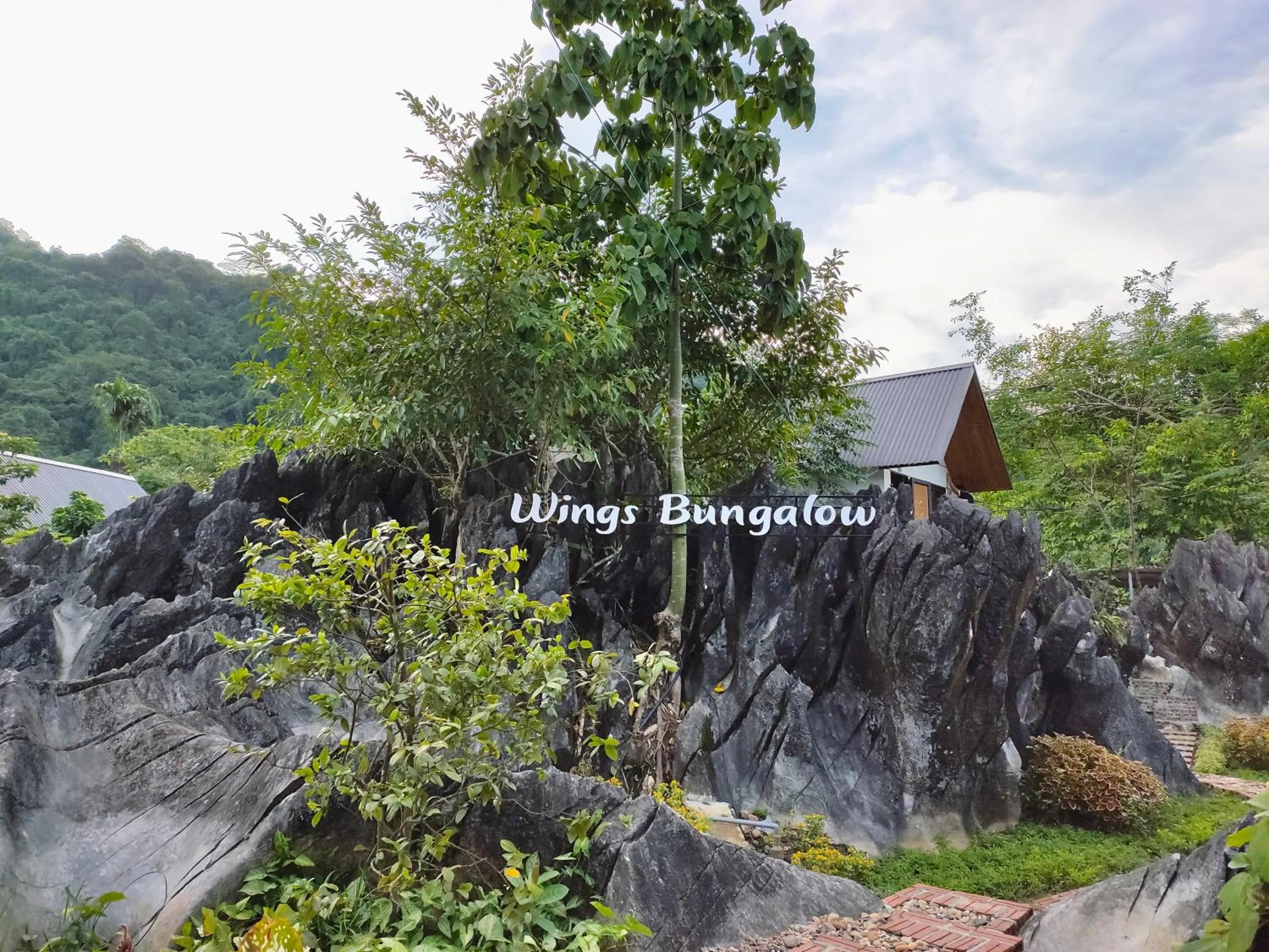 Natural landscape in Wings Ha Giang Loop Bungalow