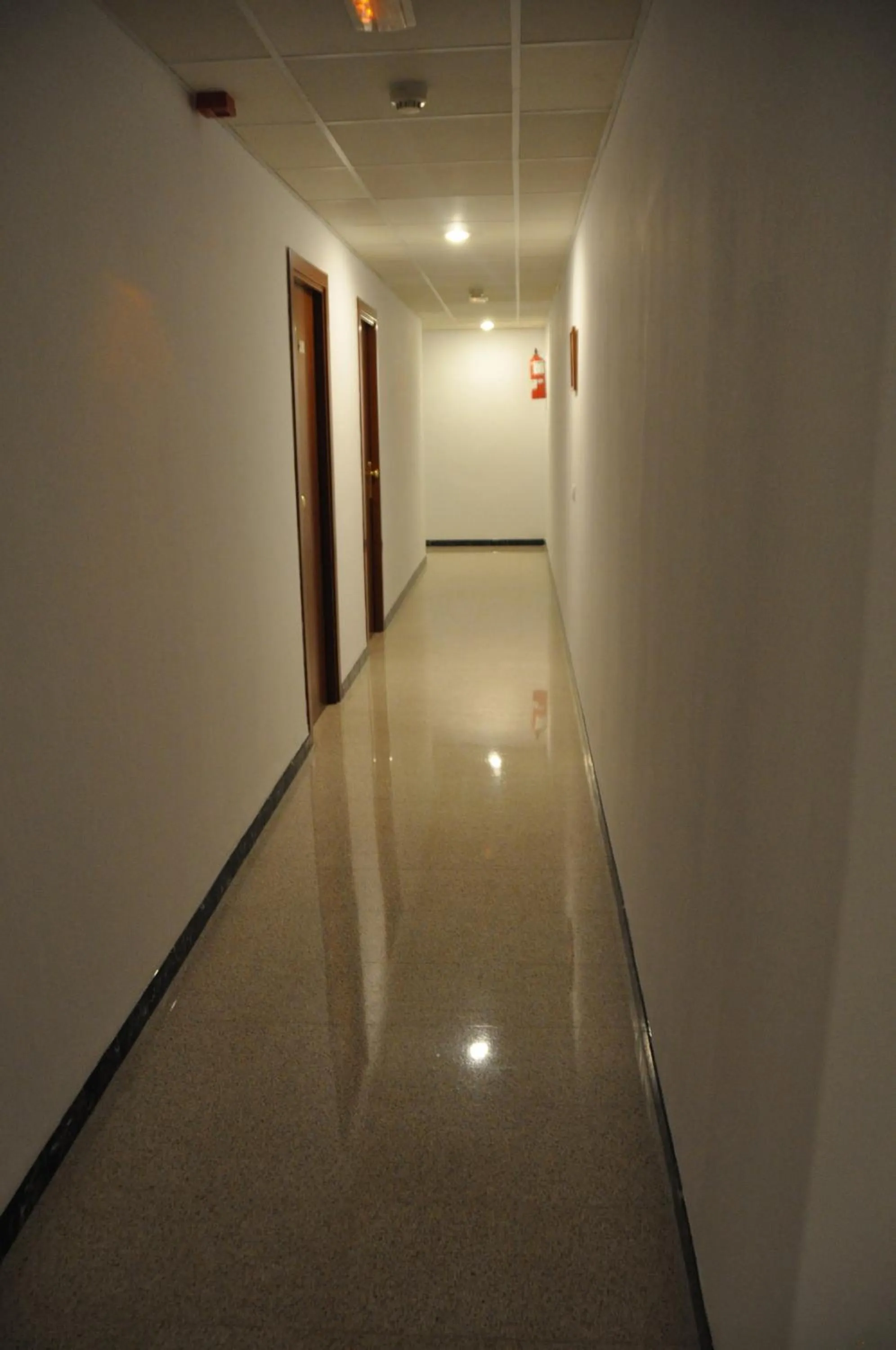 Decorative detail in Hostal - Pensión El Amigo