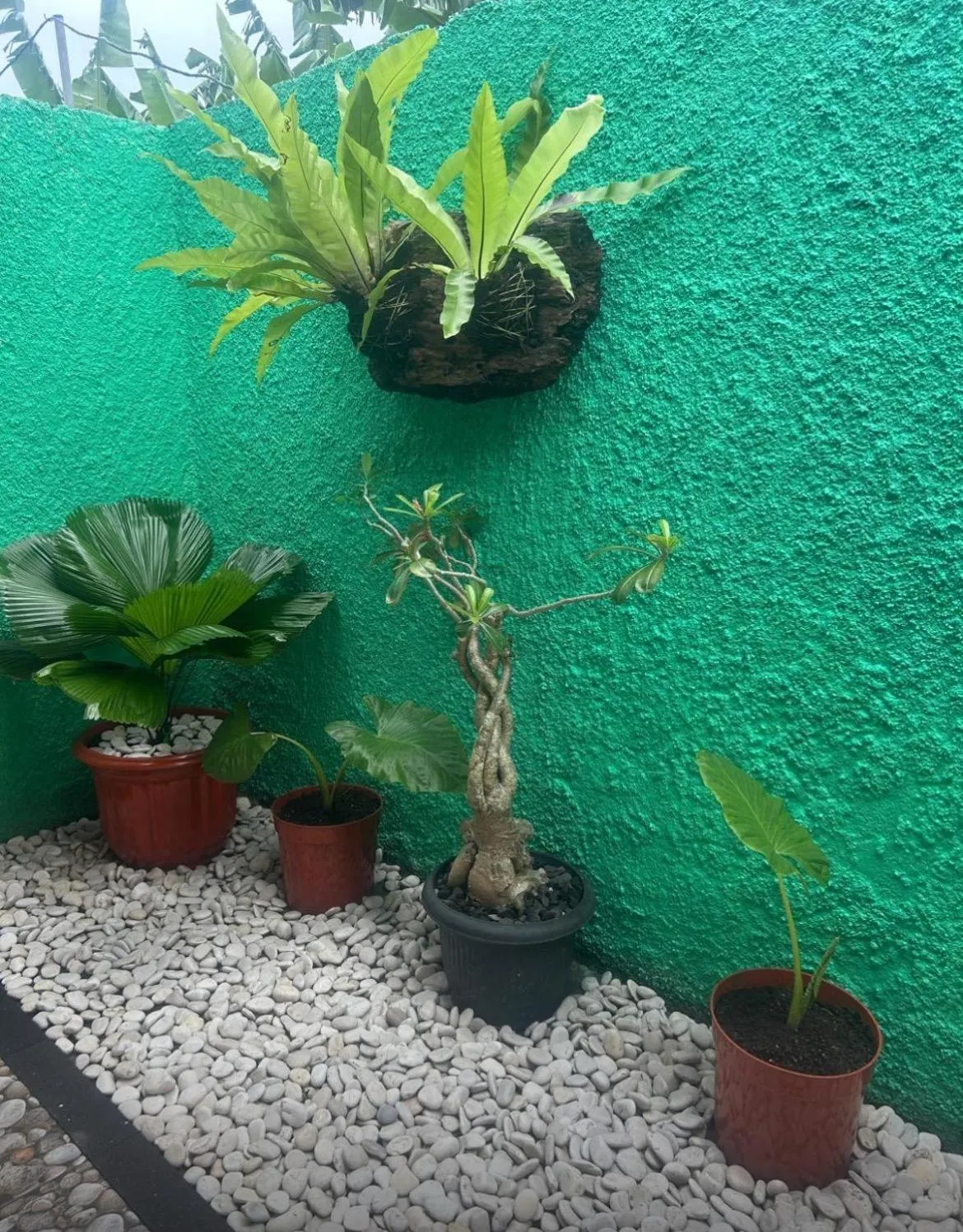 Island Garden Huts Lembongan