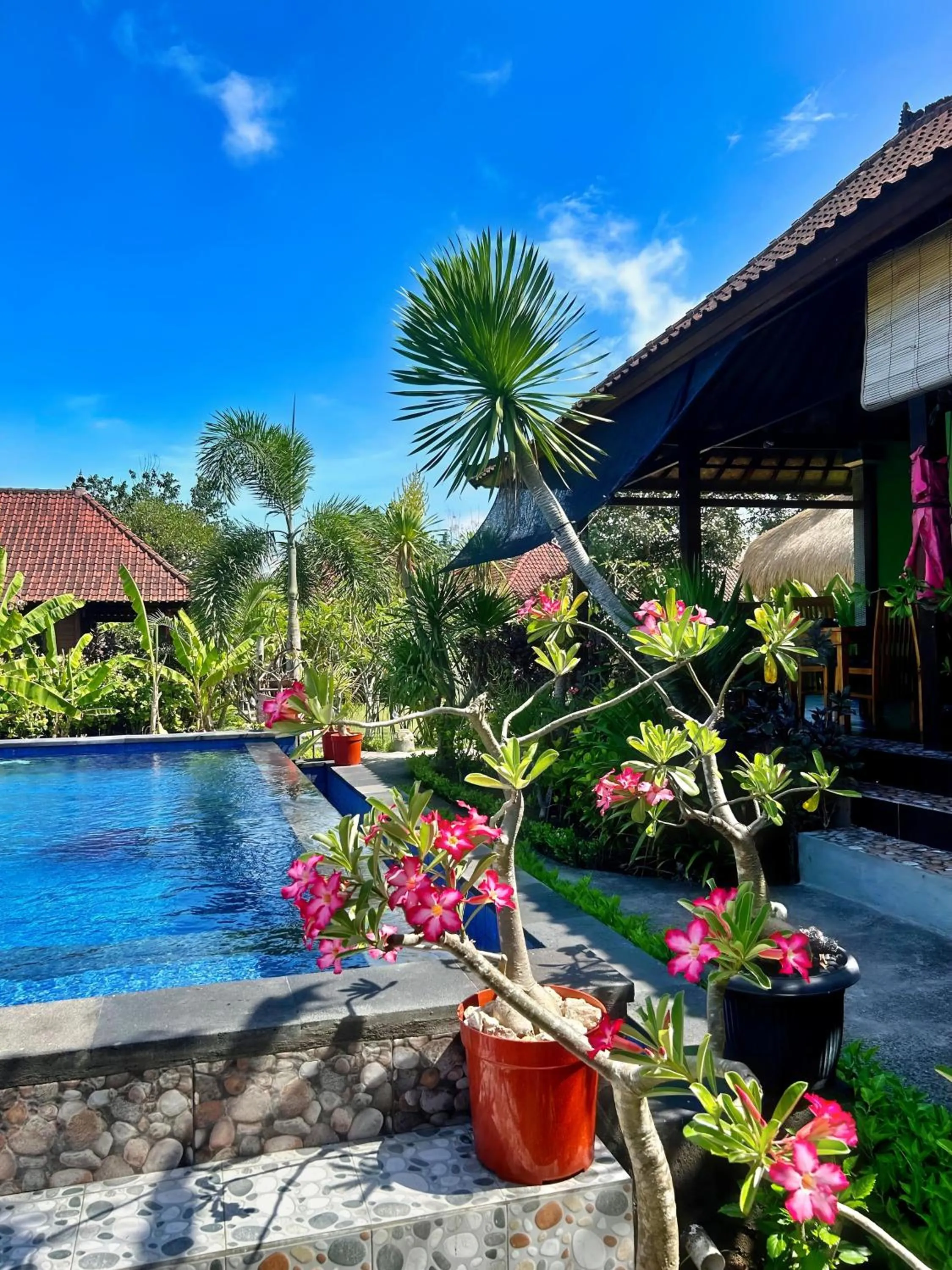 Property building in Island Garden Huts Lembongan