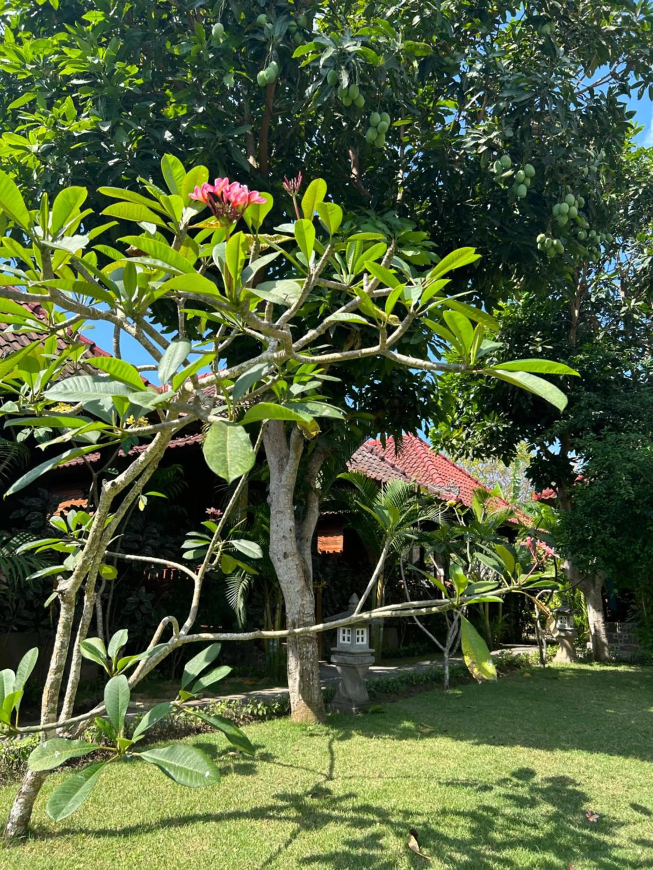 Natural landscape in Island Garden Huts Lembongan