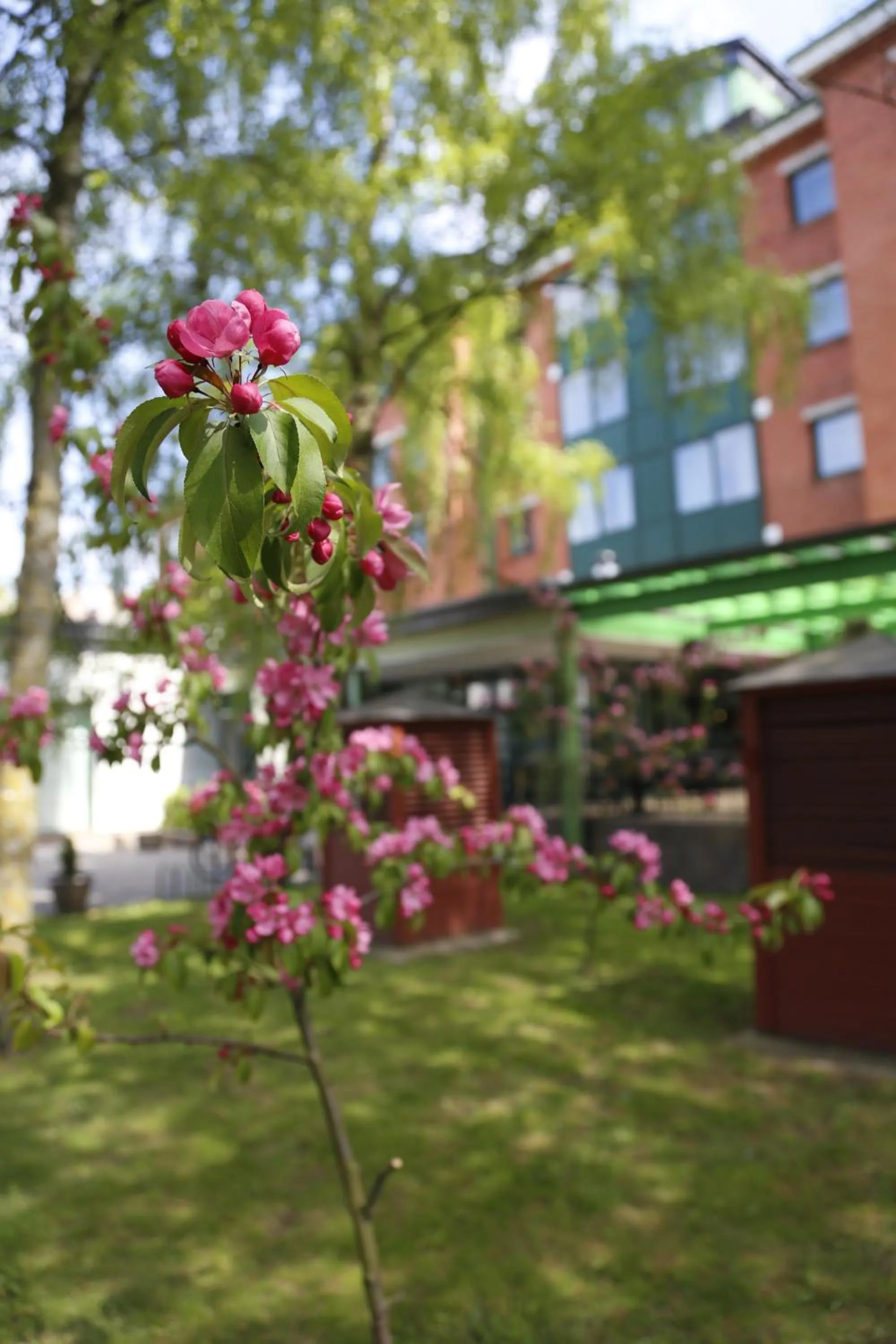 Garden view in Amrita Hotel