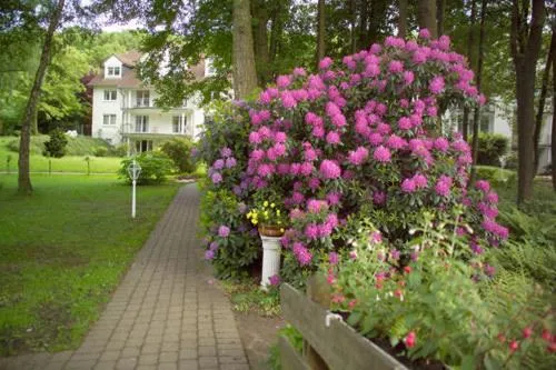 Area and facilities in Parkhotel am Taunus