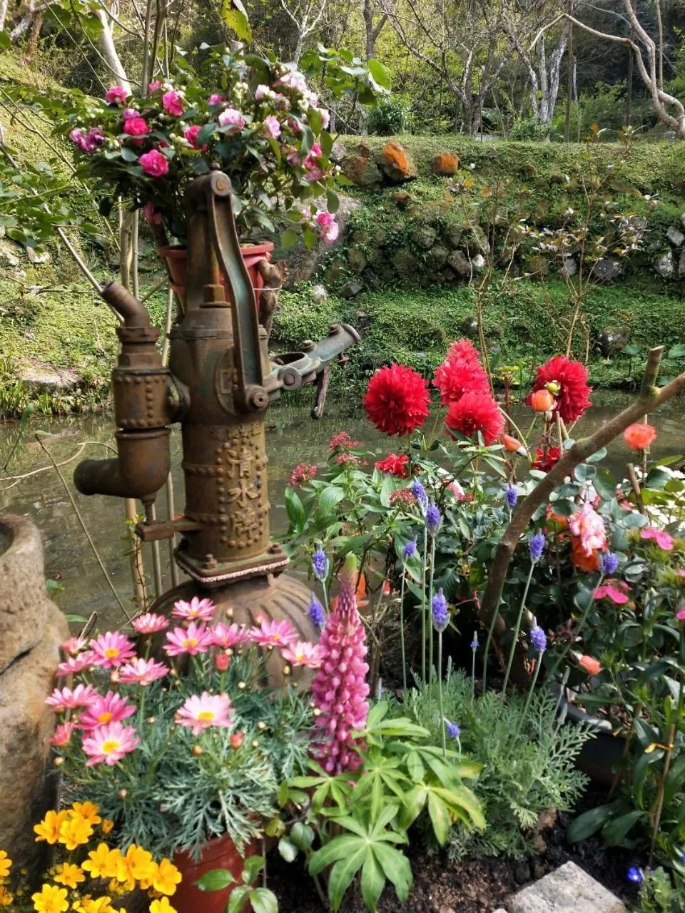 Garden view in Wen Qiao Villa